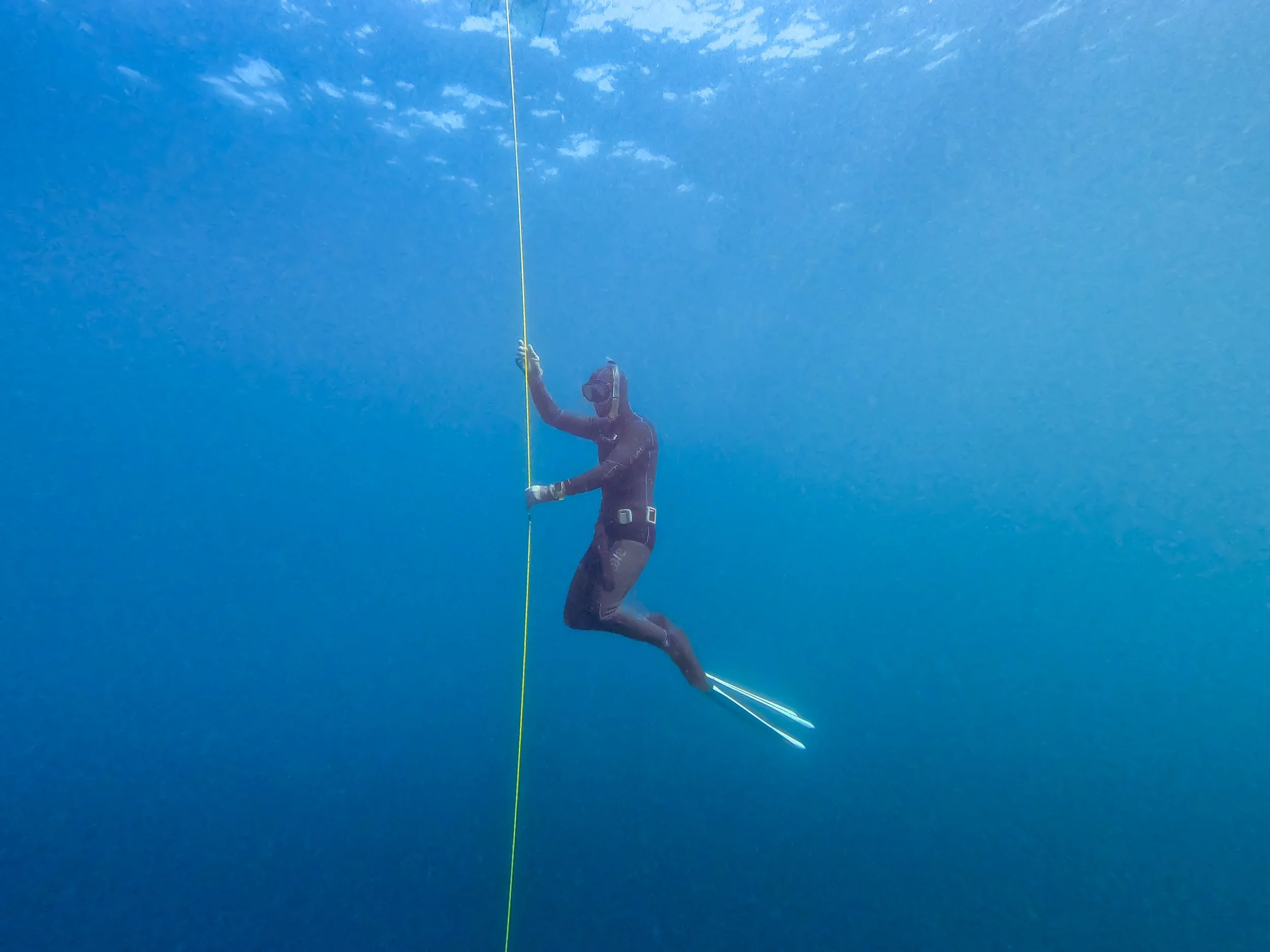 Diver on a Line, MX