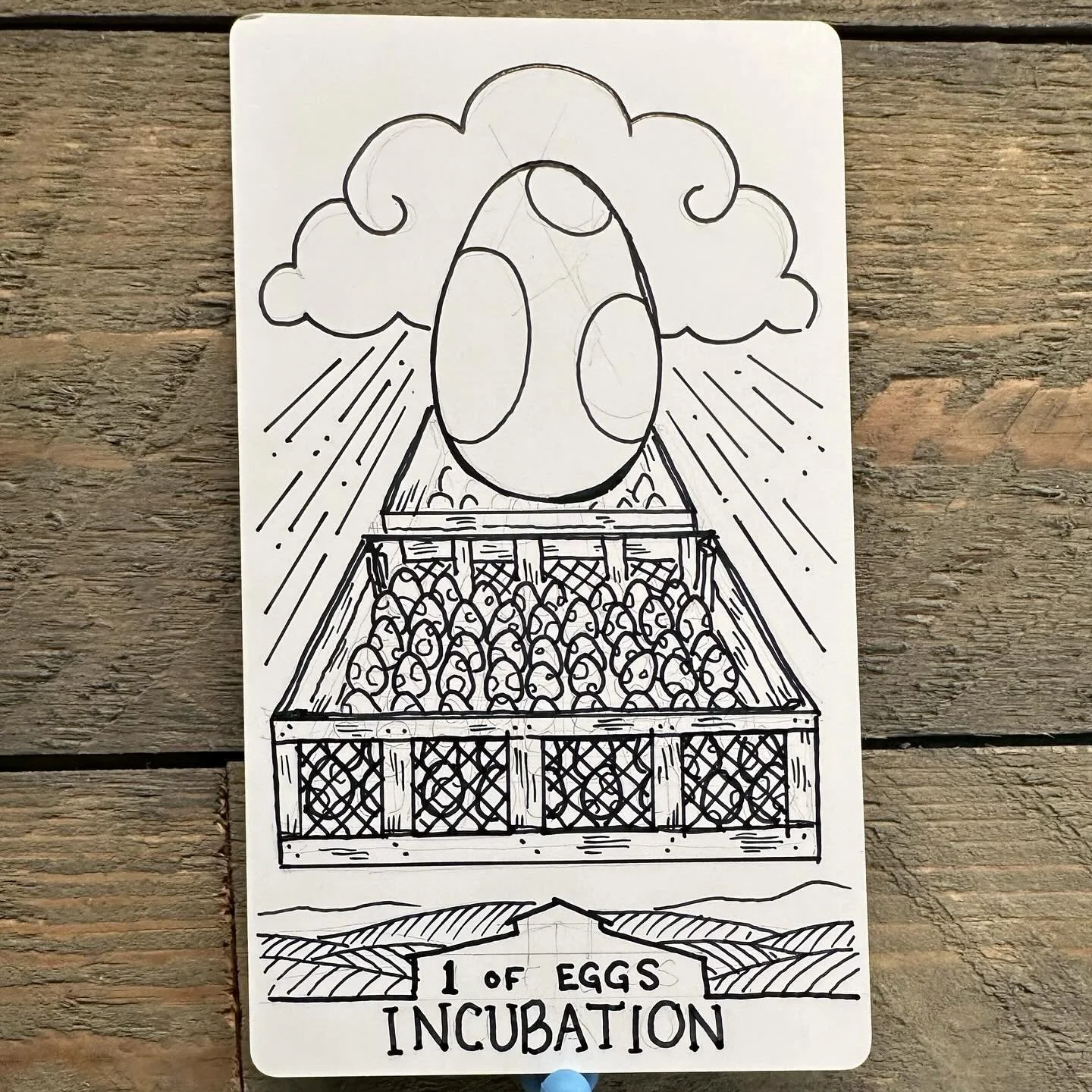 One of Eggs, version 2. 
These cards are weirdly hard for getting good, straight-on photos. 
Egg box tilted the right way, wood and mesh instead of plastic so there's more texture and it's more grounded. Needs fewer eggs in the box. Something else mi