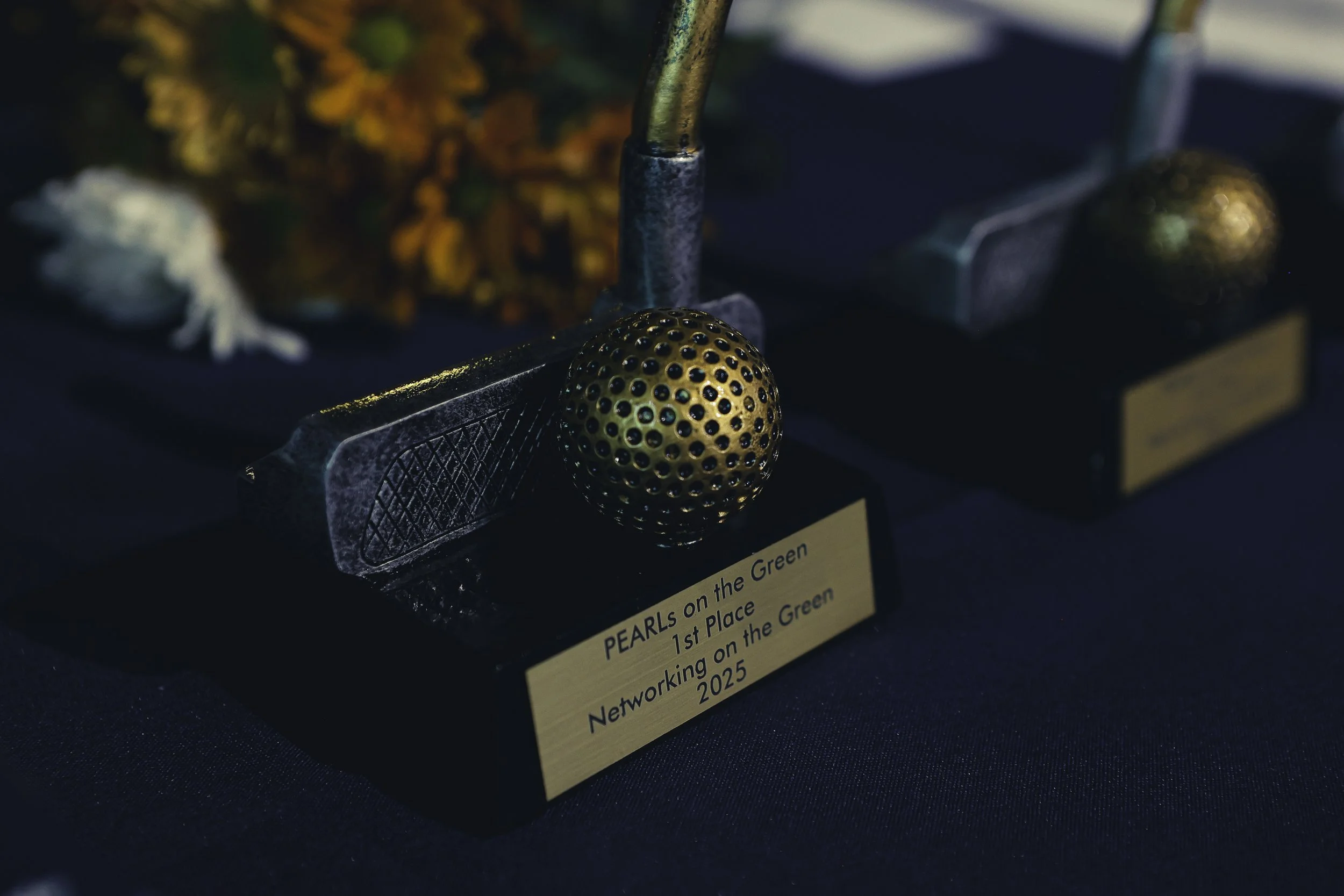 closeup  of 1st place.jpeg