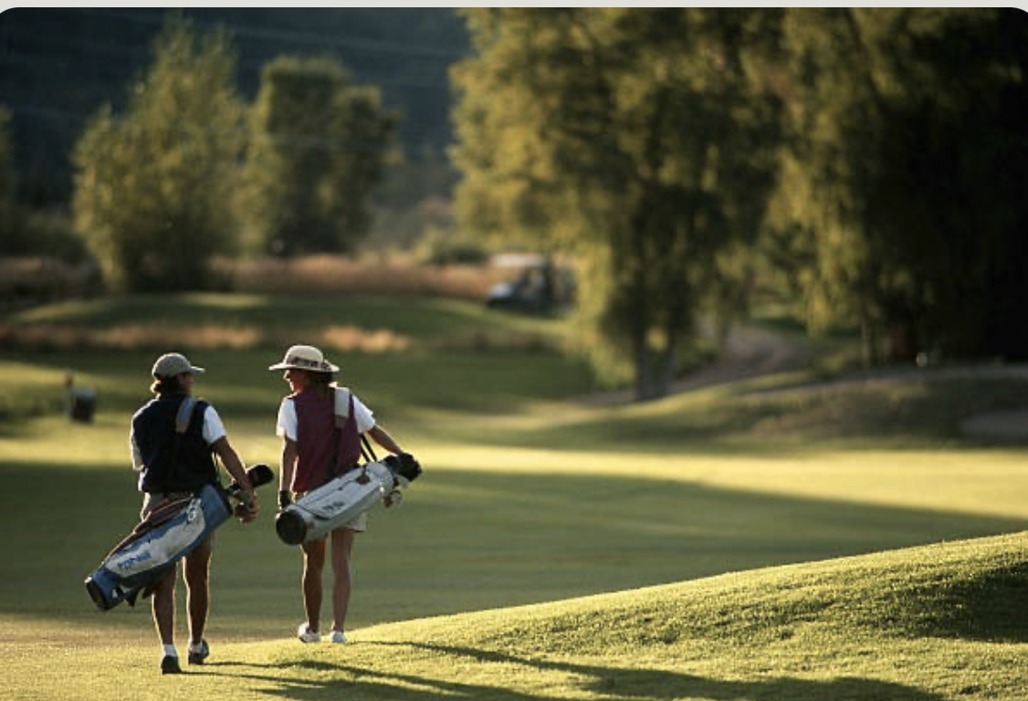 Champion Member - Rate