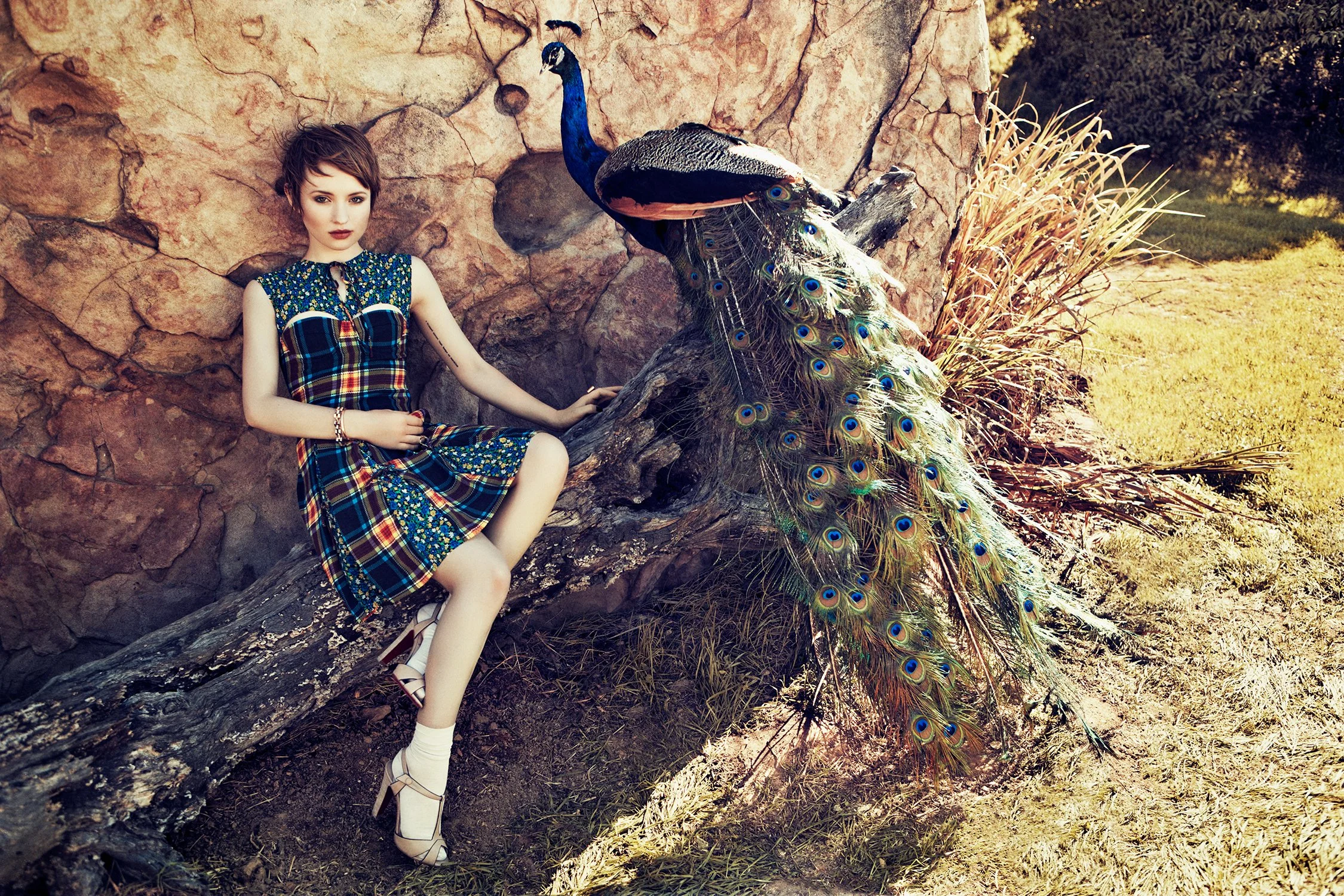A woman is sitting on a fallen tree trunk next to a peacock with colorful feathers, against a rocky background with some grass and trees in the distance.