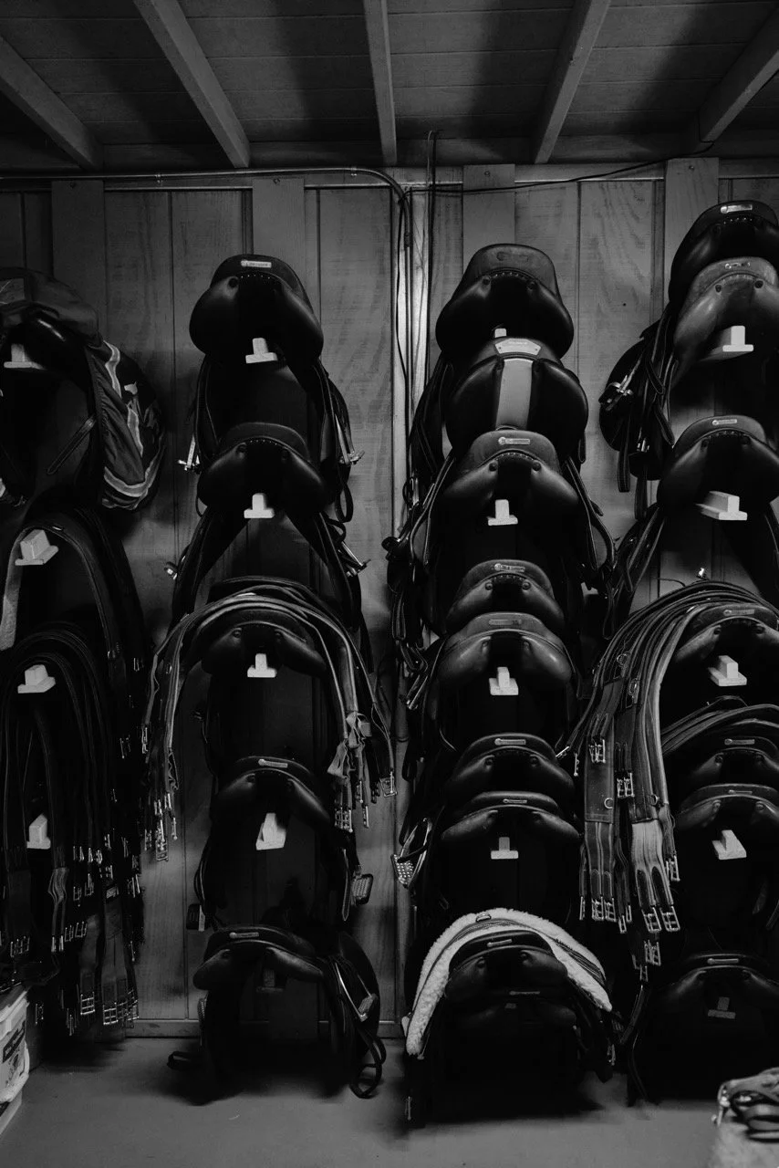 Wall of black horse riding helmets stacked on hooks in a storage room.