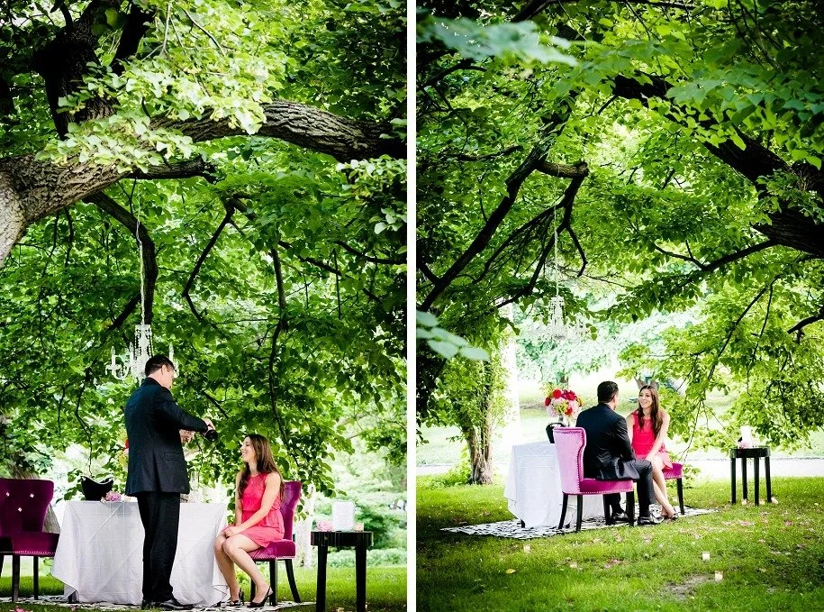 imgi_12_Chicago-Proposal-Photographer_0119.jpg