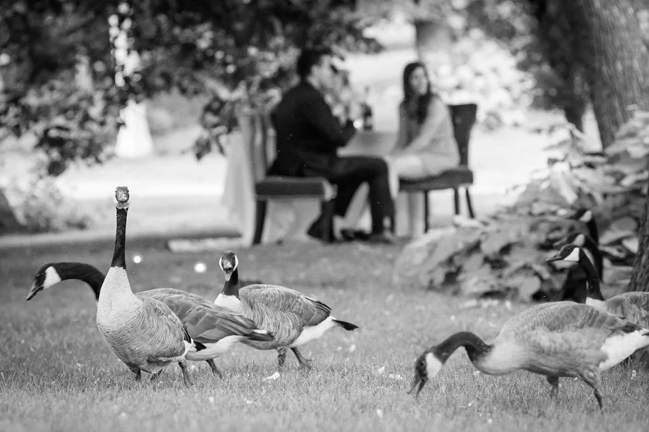 imgi_14_Chicago-Proposal-Photographer_0121.jpg