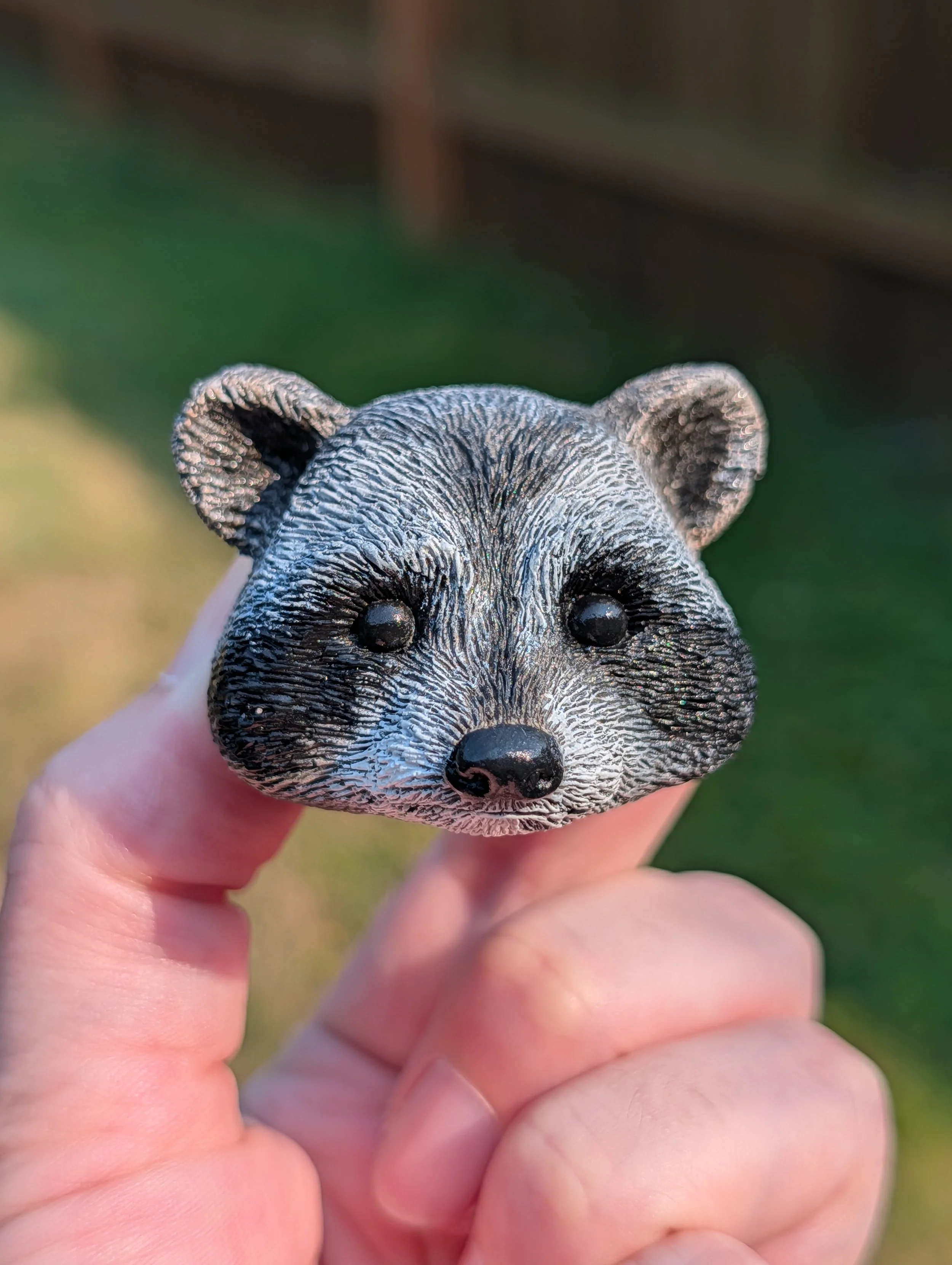 Raccoon Magnet