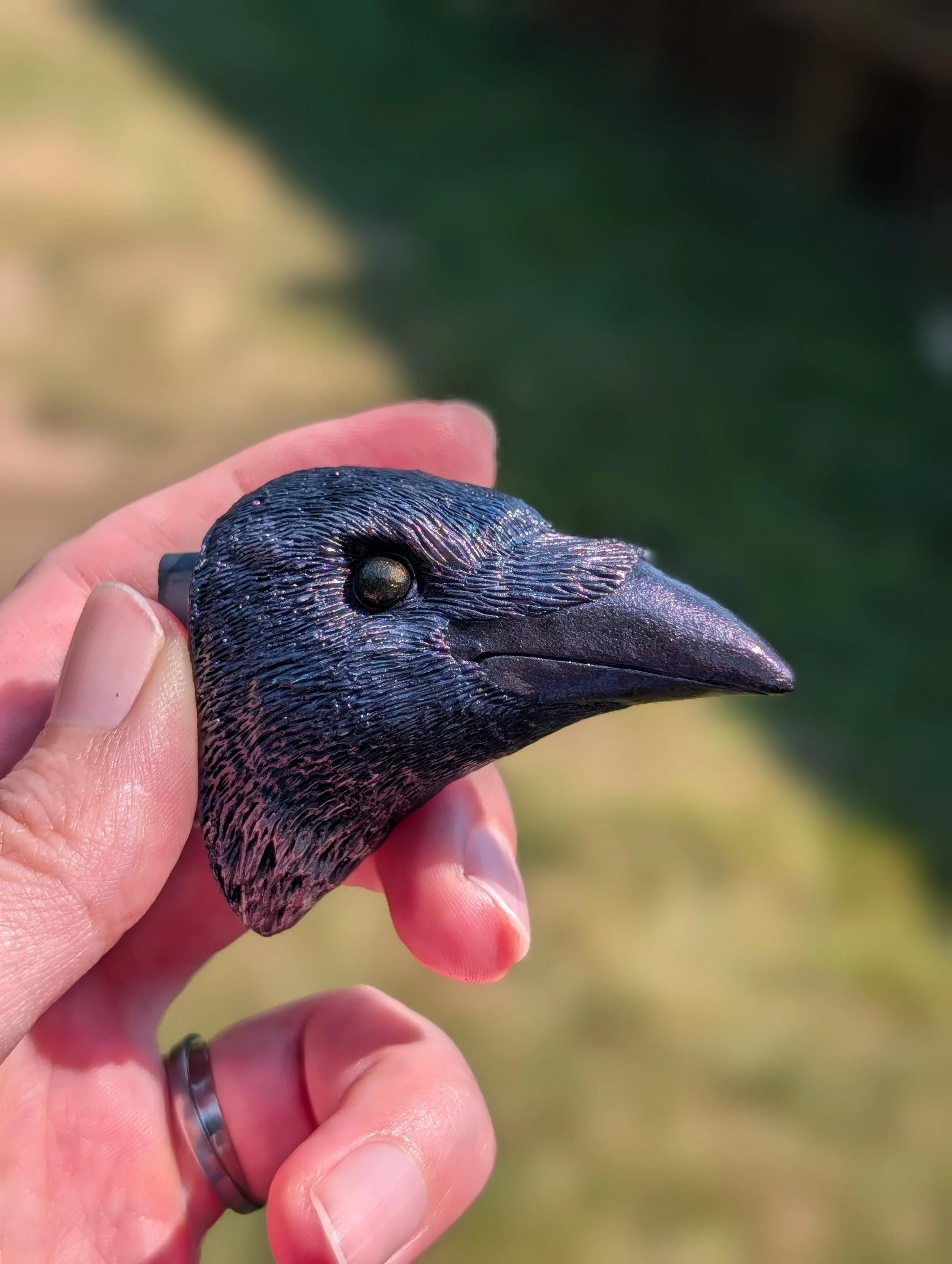Raven Magnet