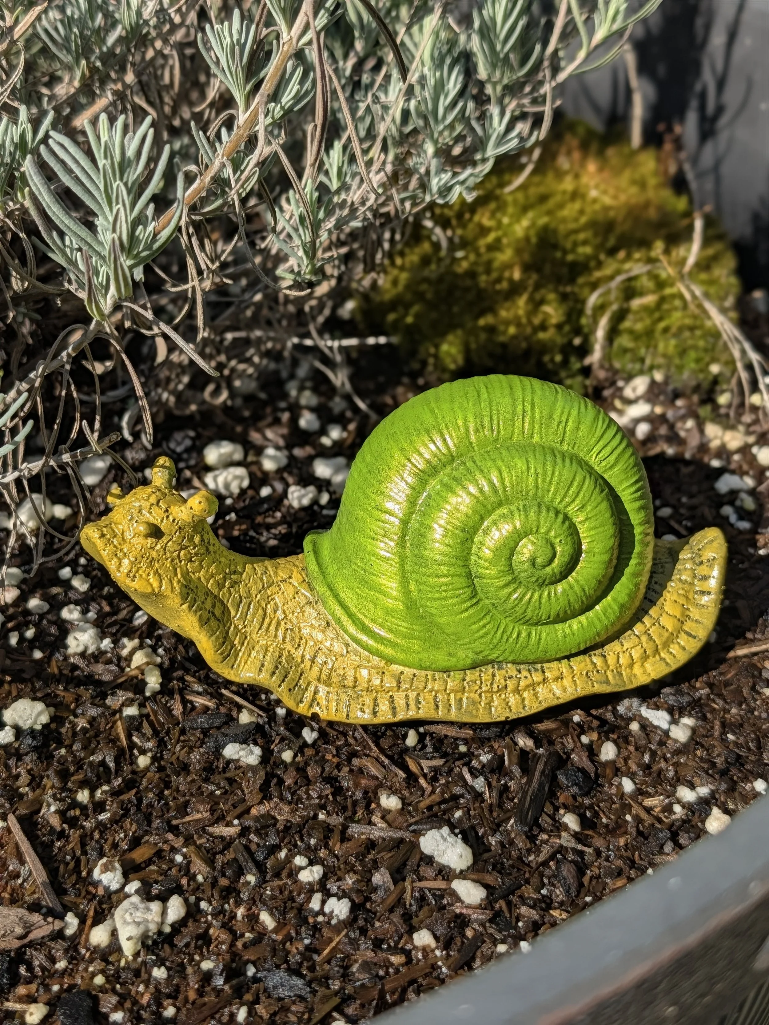 Snails