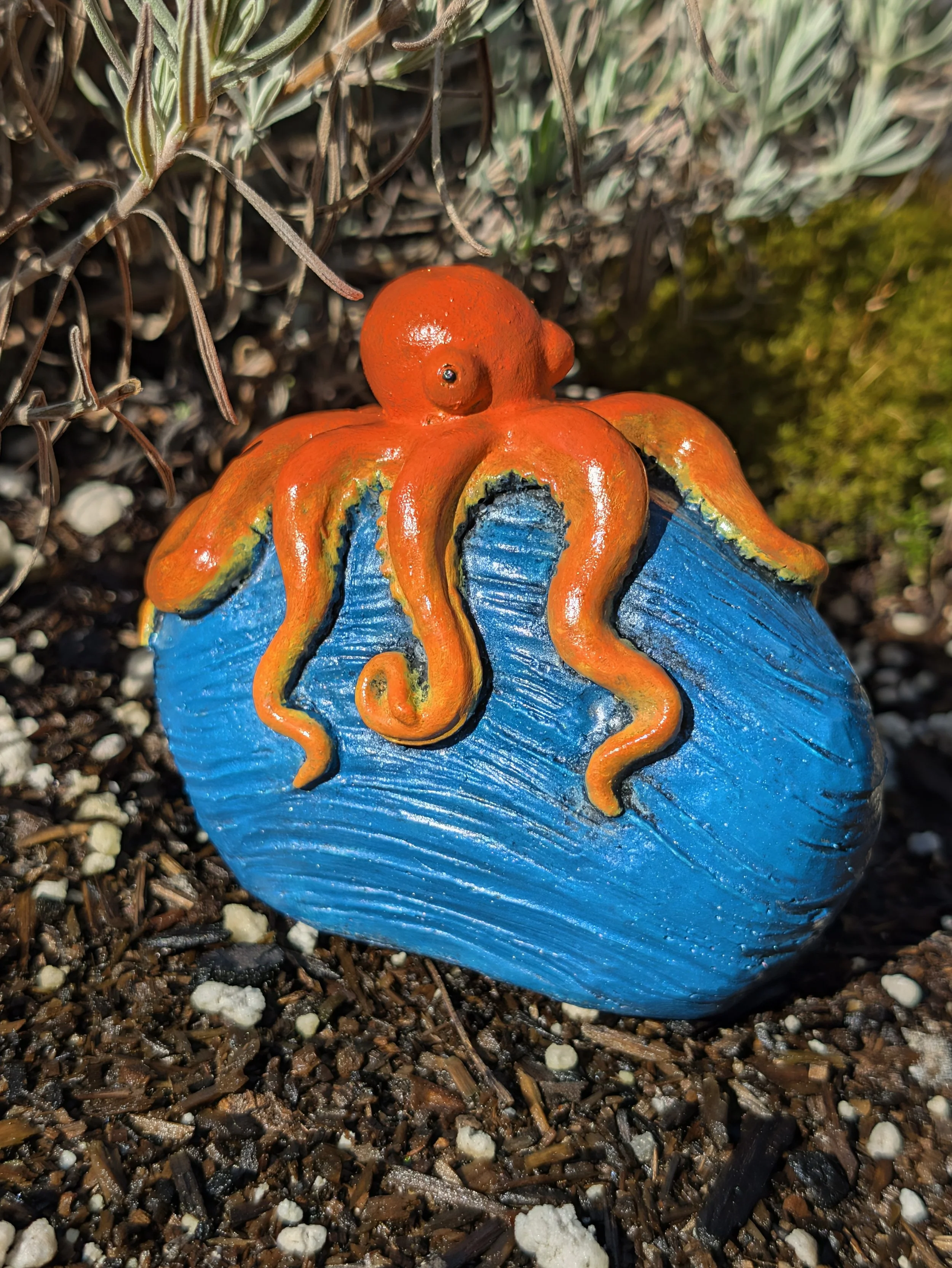 Octopus on Rock