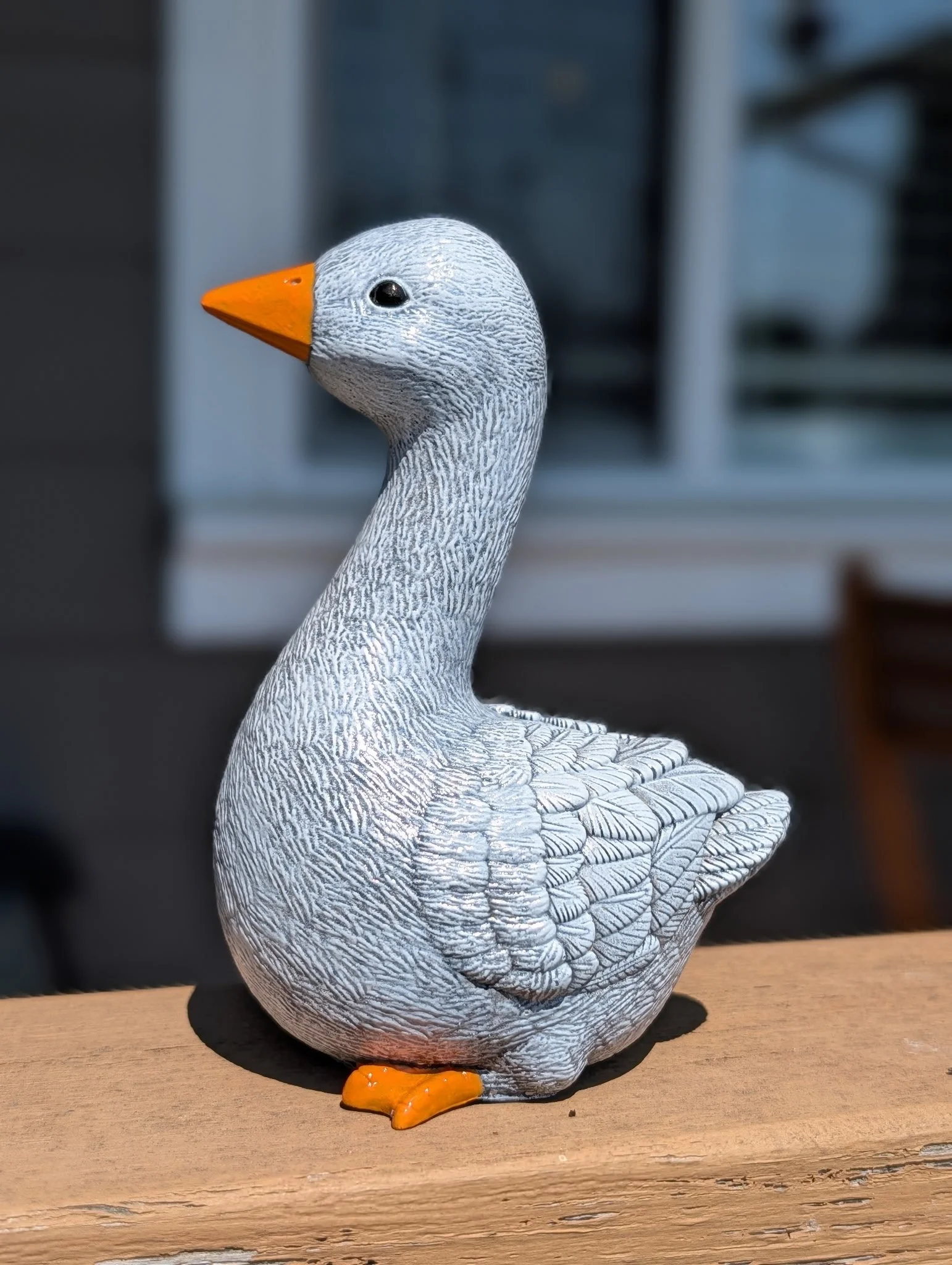 Little Goose