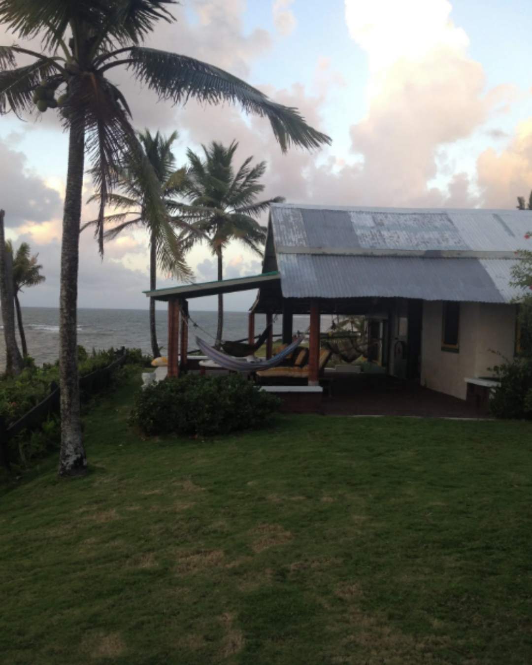 A tropical scene with tall palm trees and a grassy yard. There is a small house with a metal roof and a porch with hammocks. The ocean is visible in the background, and the sky is partly cloudy during sunset.