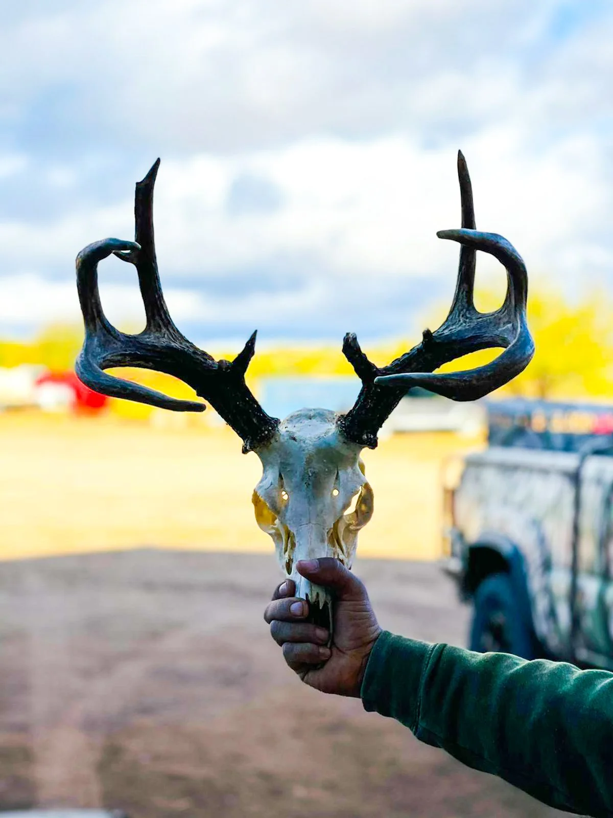 Table of Contents.jpg