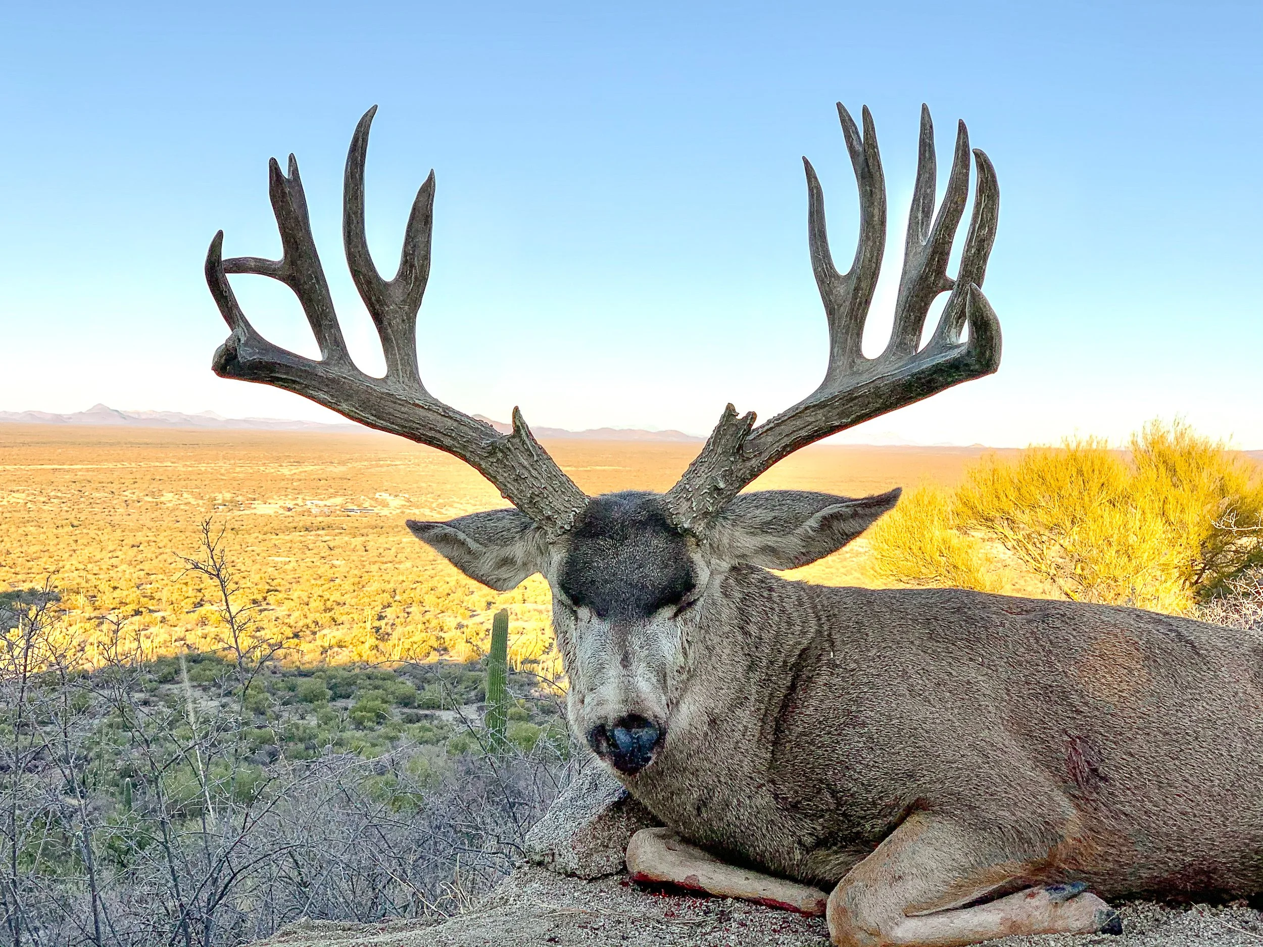 Harvest Report 1.jpg