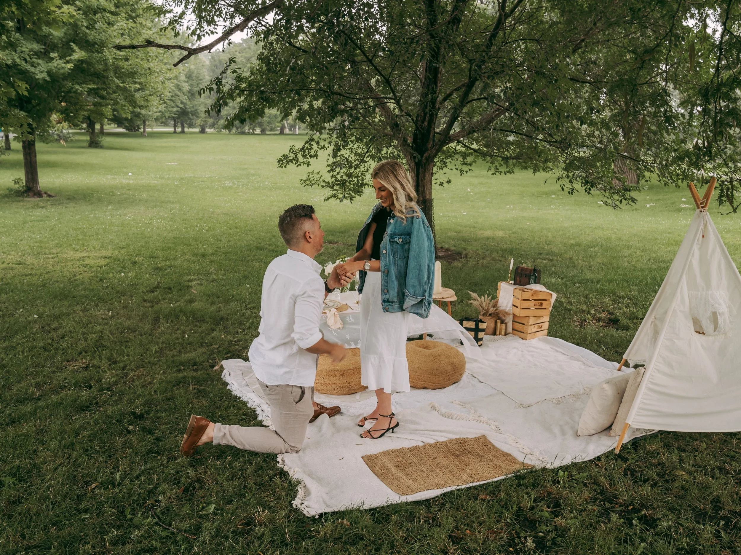 A man proposing to a woman during a picnic under a large tree in a grassy park.