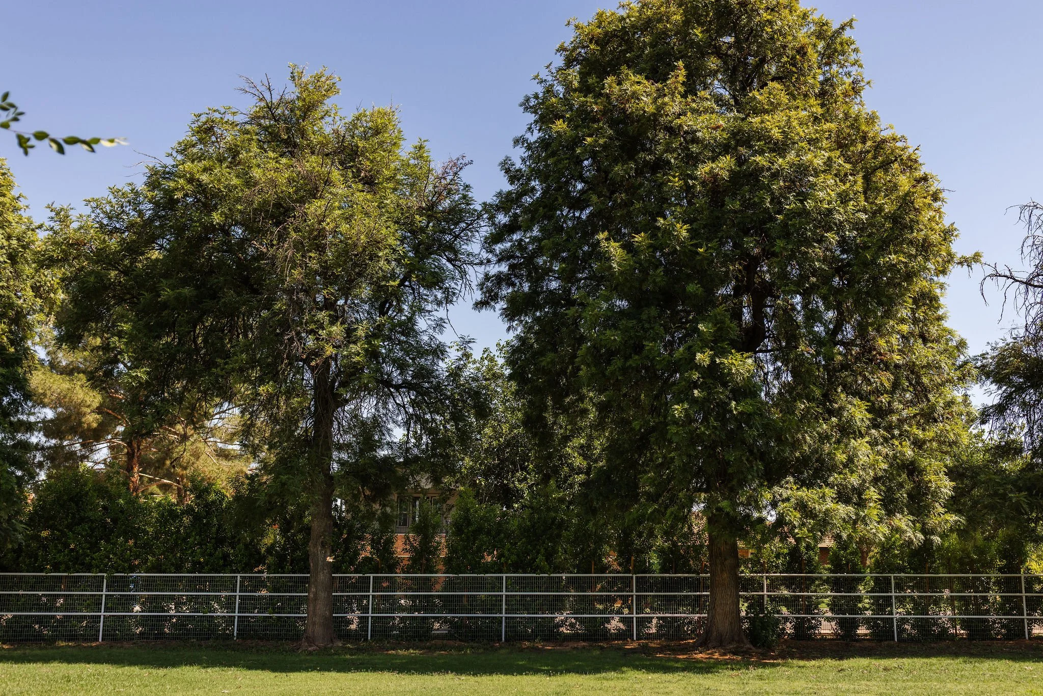 The Pasture & Barnhouse (All Exterior Access)