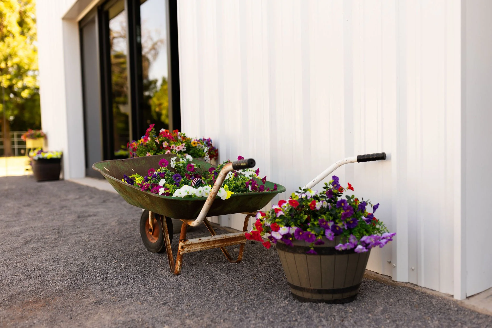 Rusty wheelbarrow filled with colorful flowers and a large pot of flowers on a gravel surface outside a white building.