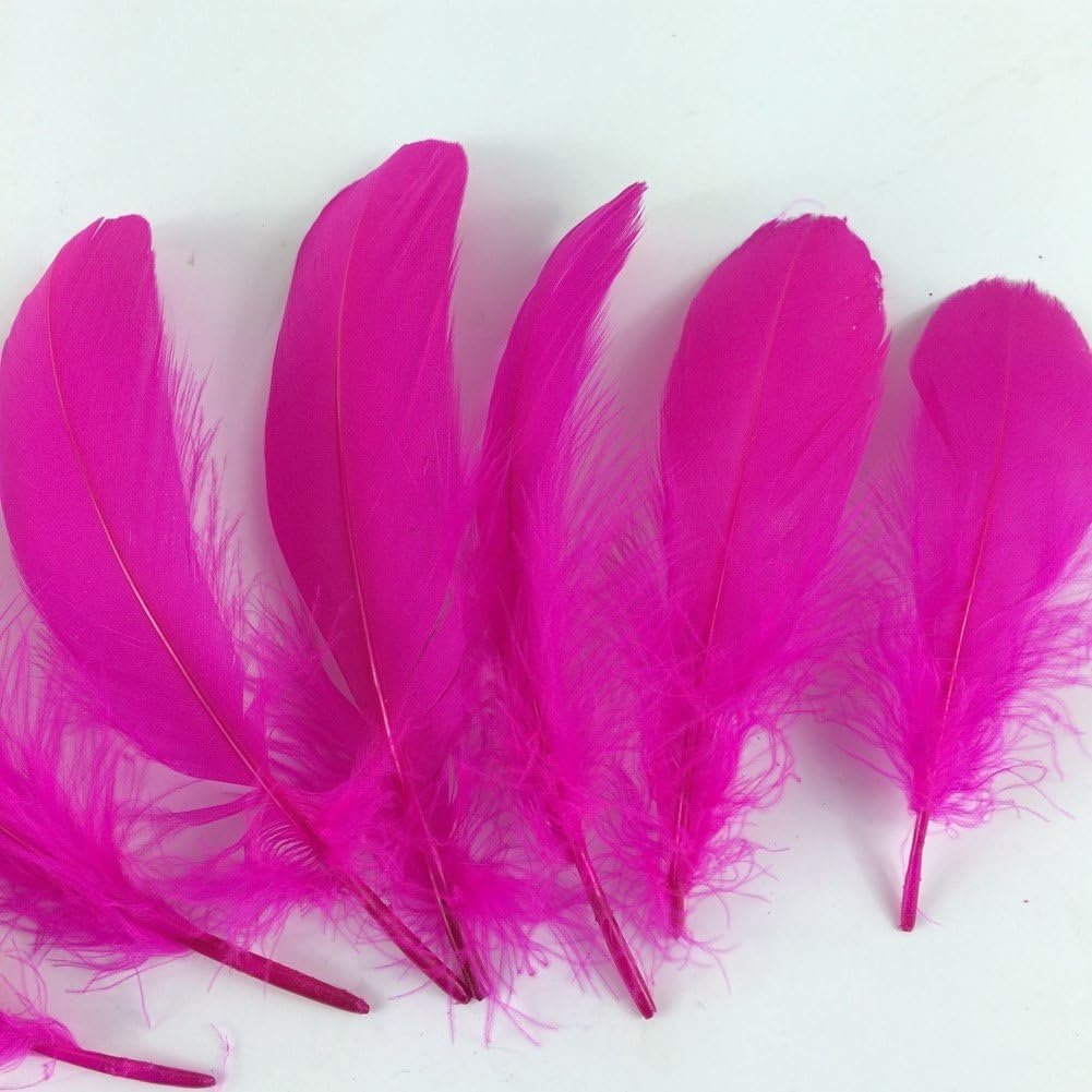 hot pink sm feath.jpg