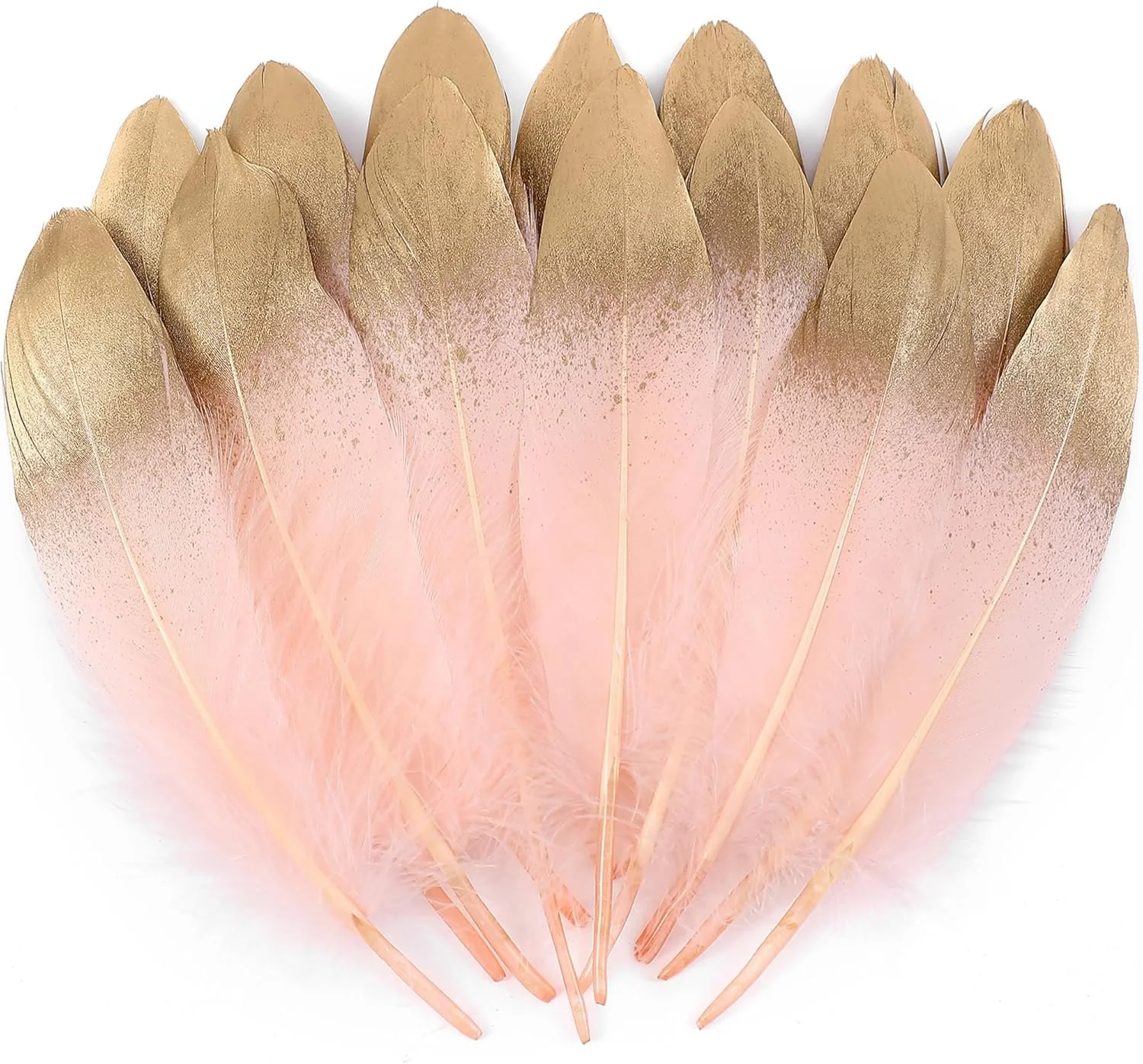 lt pink gold feath.jpg