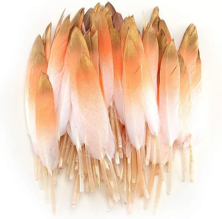 orange gold feath.jpg