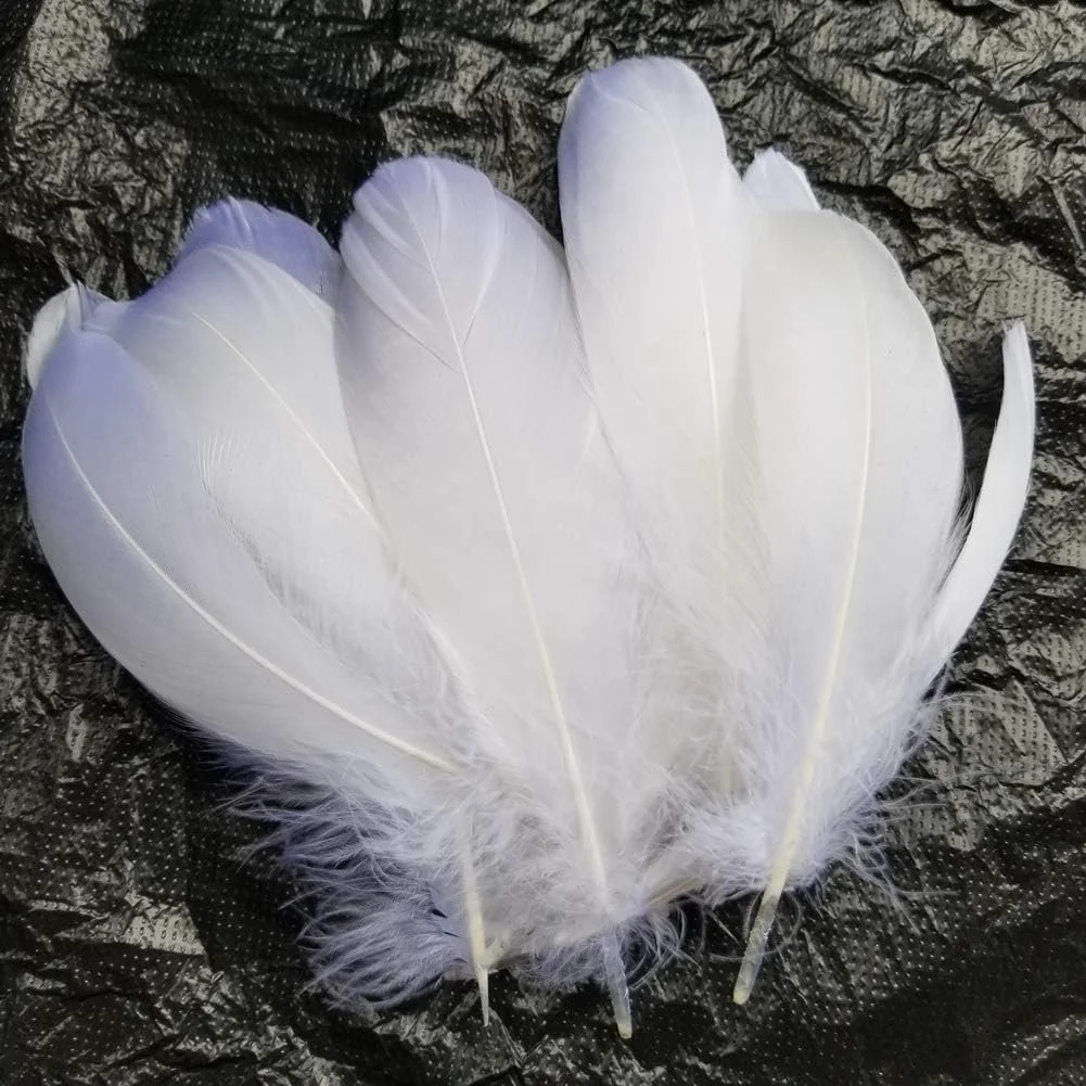 Feathers