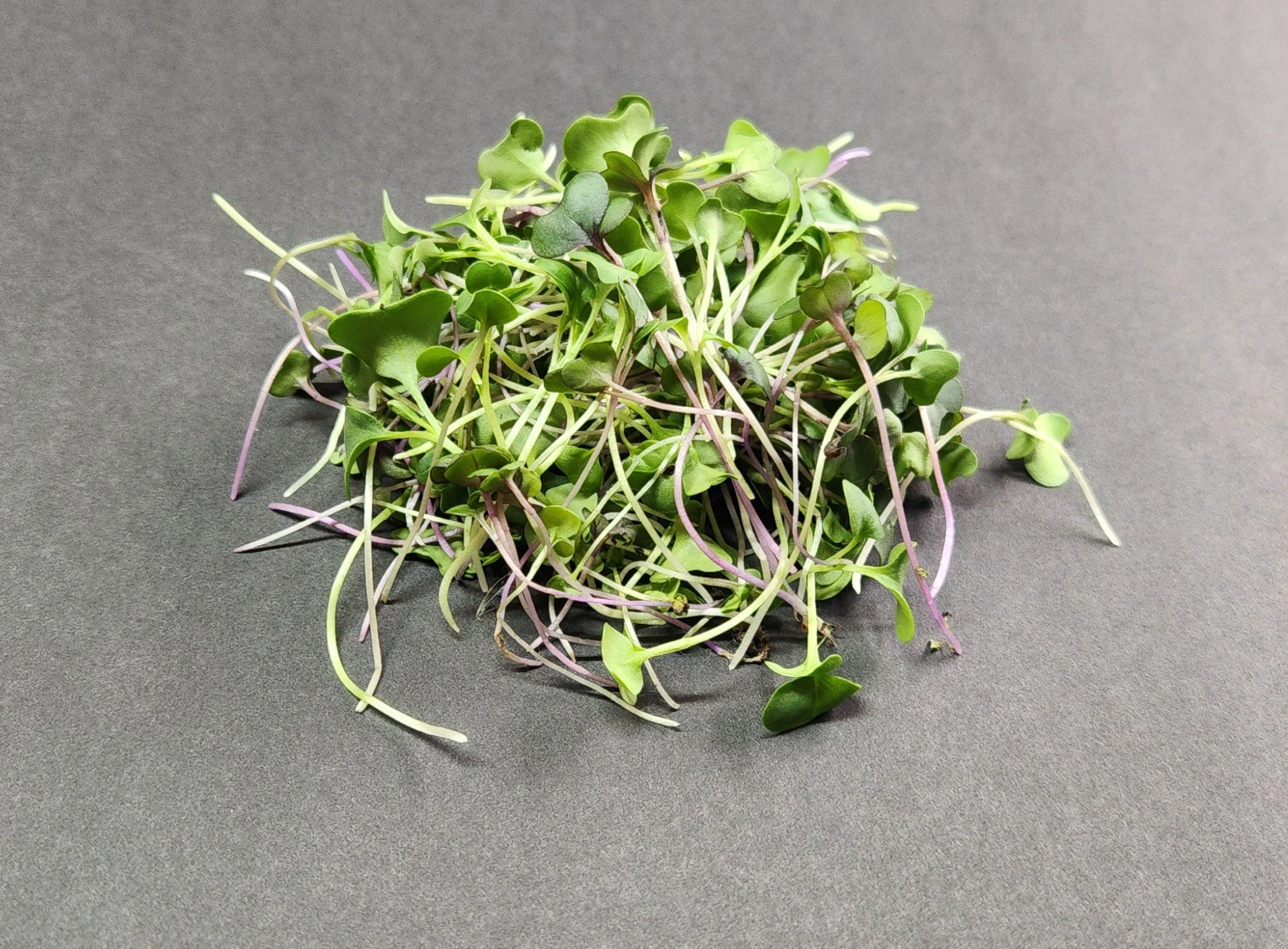 Salad Mix_Single.jpg