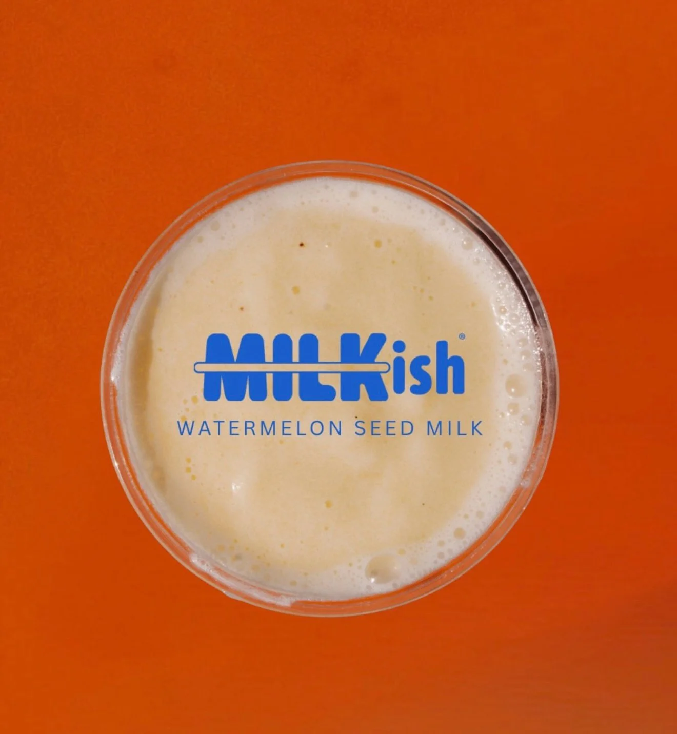 Meet Milkish 🍉🥛

The plant based milk alternative changing the game with watermelon seed milk. Smooth, creamy, packed with nutrients, and made with simple ingredients you can actually recognize.

MILKish is on a mission to prove that plant based al