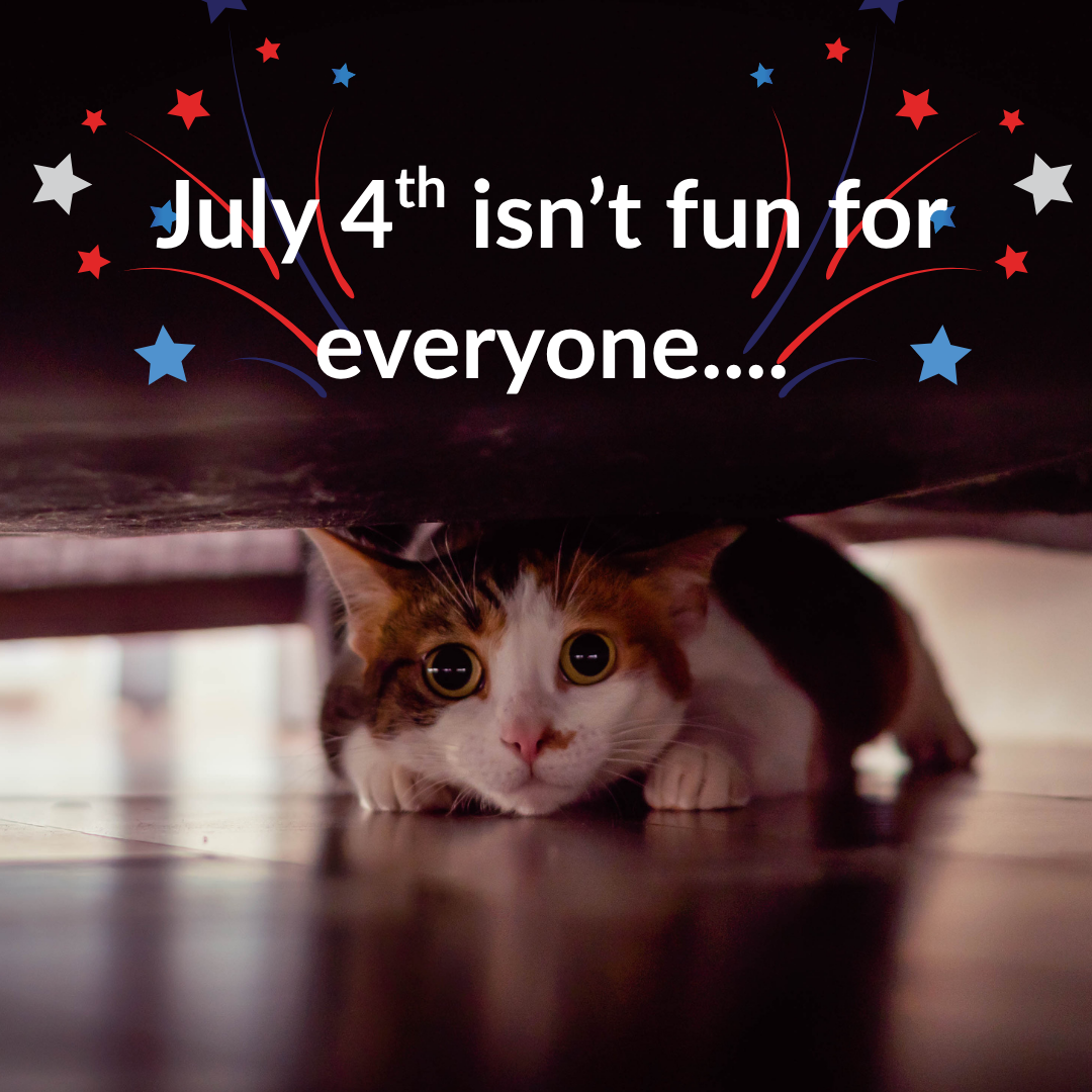 Fireworks and Fur Babies