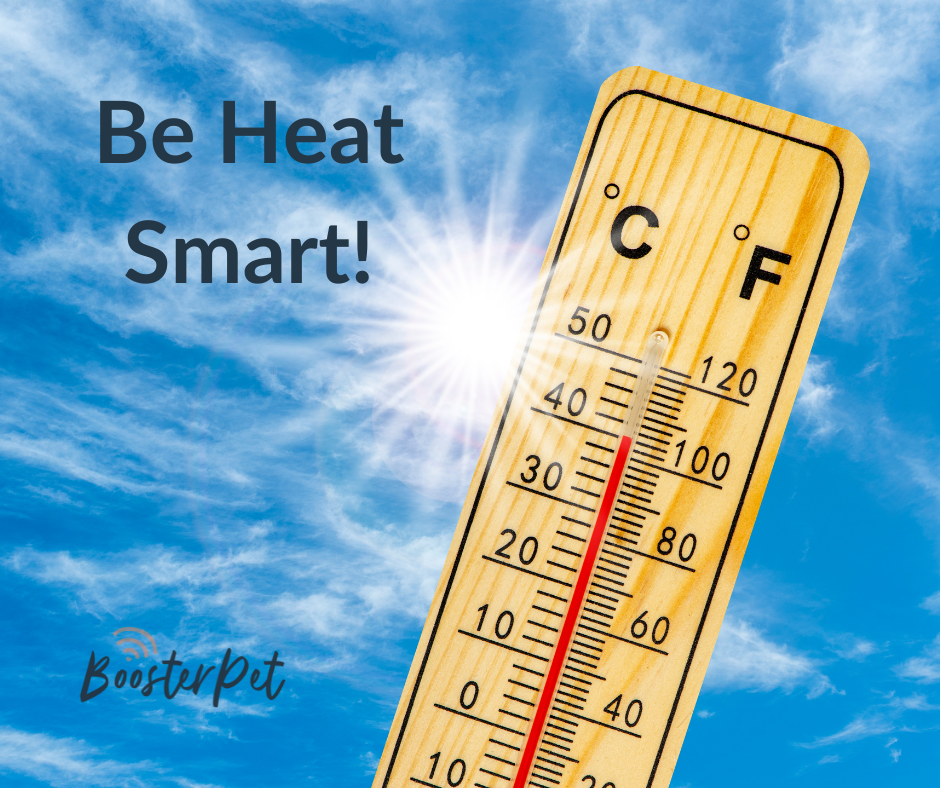Beat The Heat