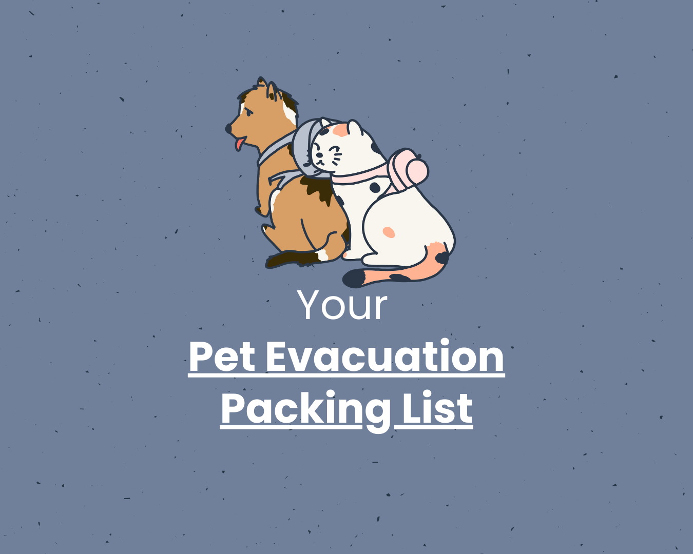 What to pack for pets during an evacuation?