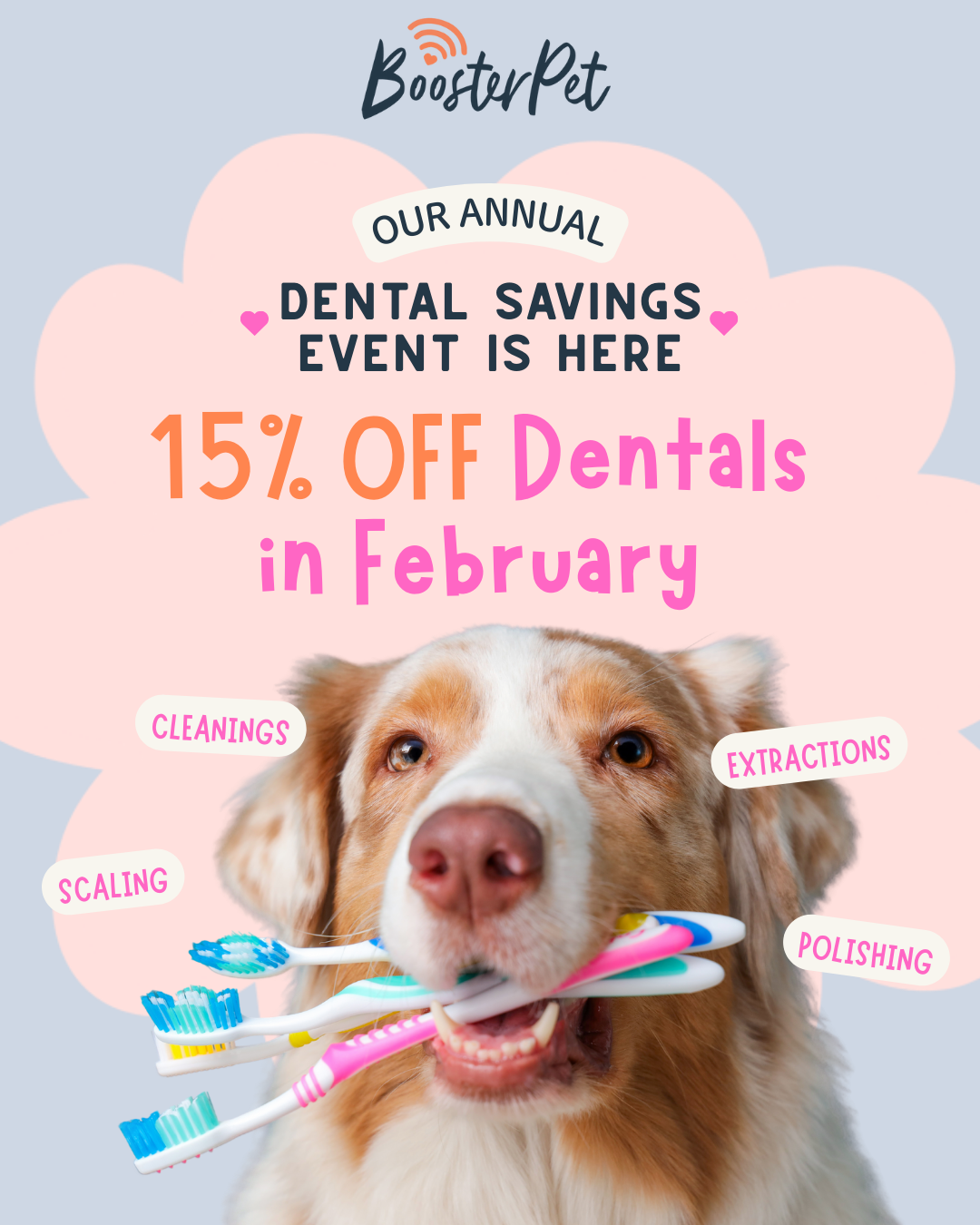 Our Annual Dental Savings Event 🦷💖</span>