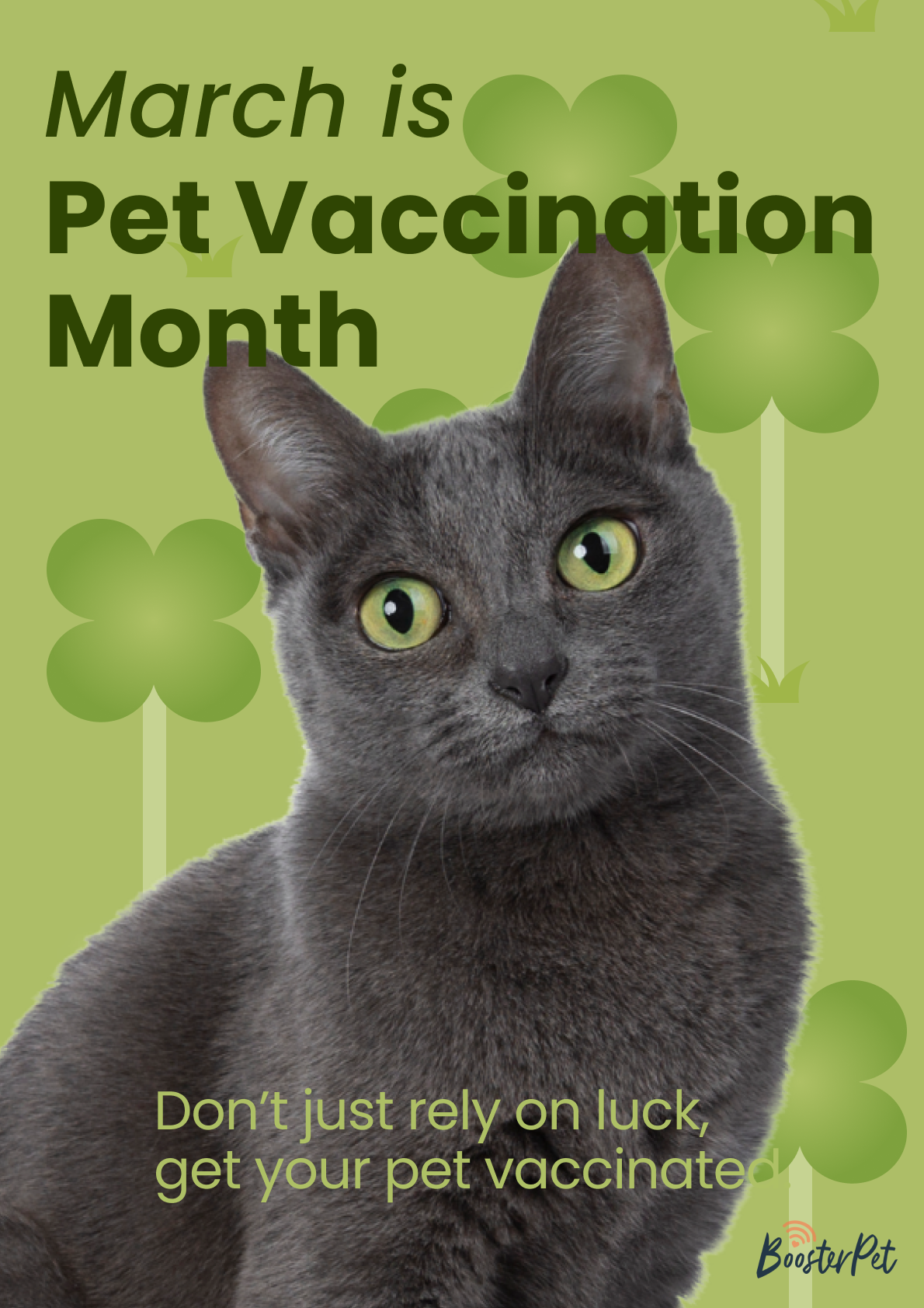 National Pet Vaccination Awareness Month 🍀