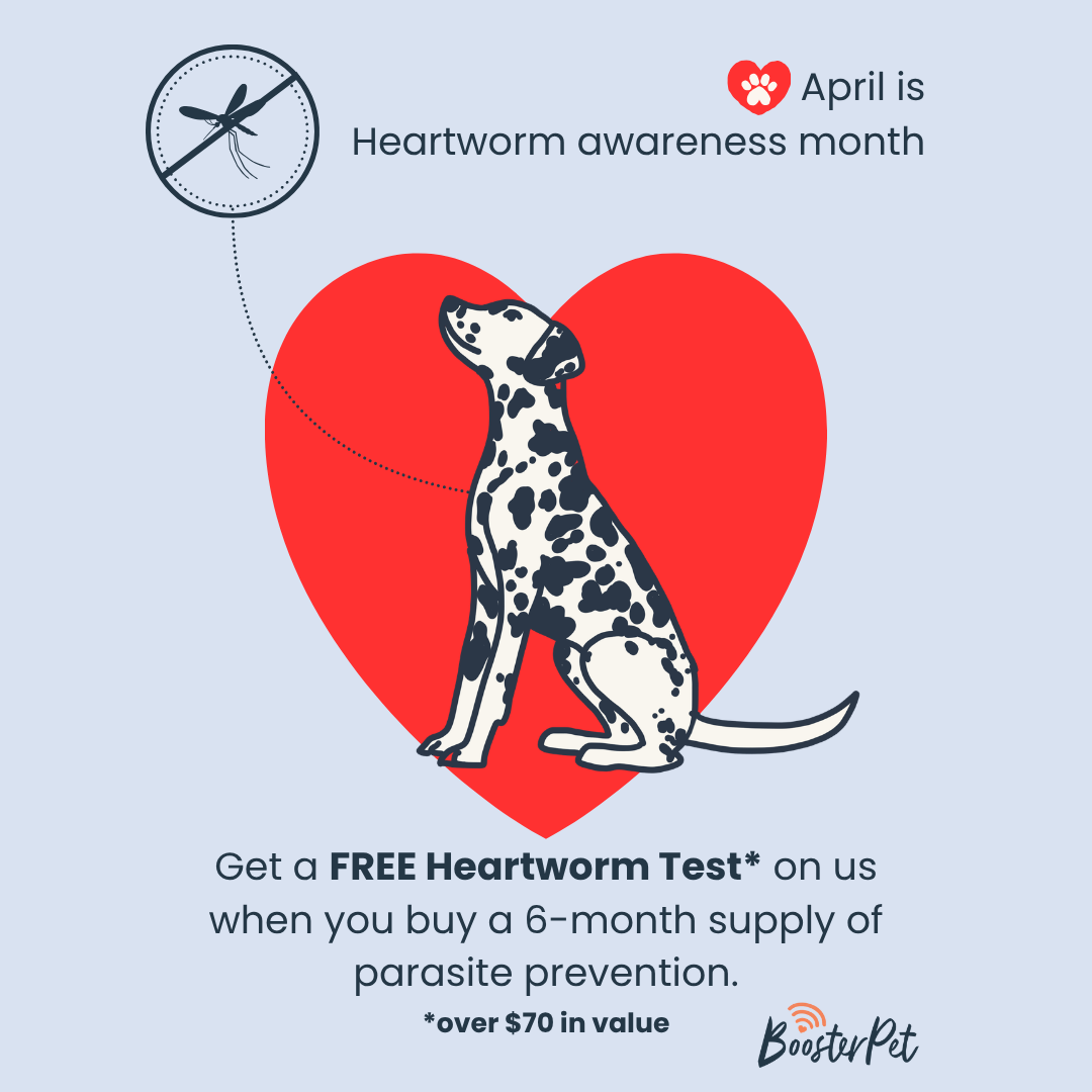 April is Heartworm Awareness Month (+ a special deal)