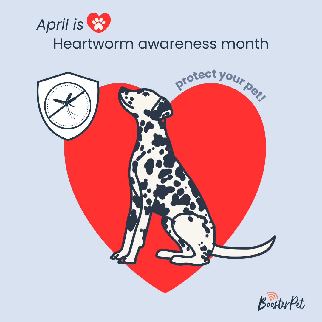 Heartworm 101. What Every Pet Parent in Seattle Should Know