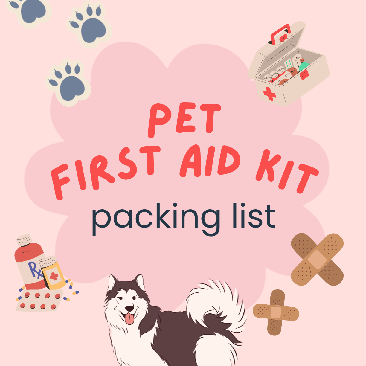 Pet First Aid Kit Packing List 