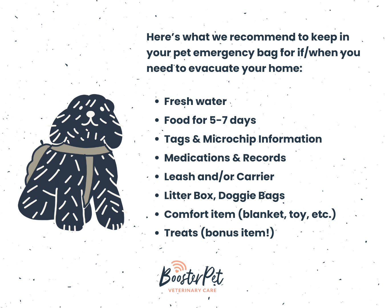 what to pack in your pet emergency bag, for emergency