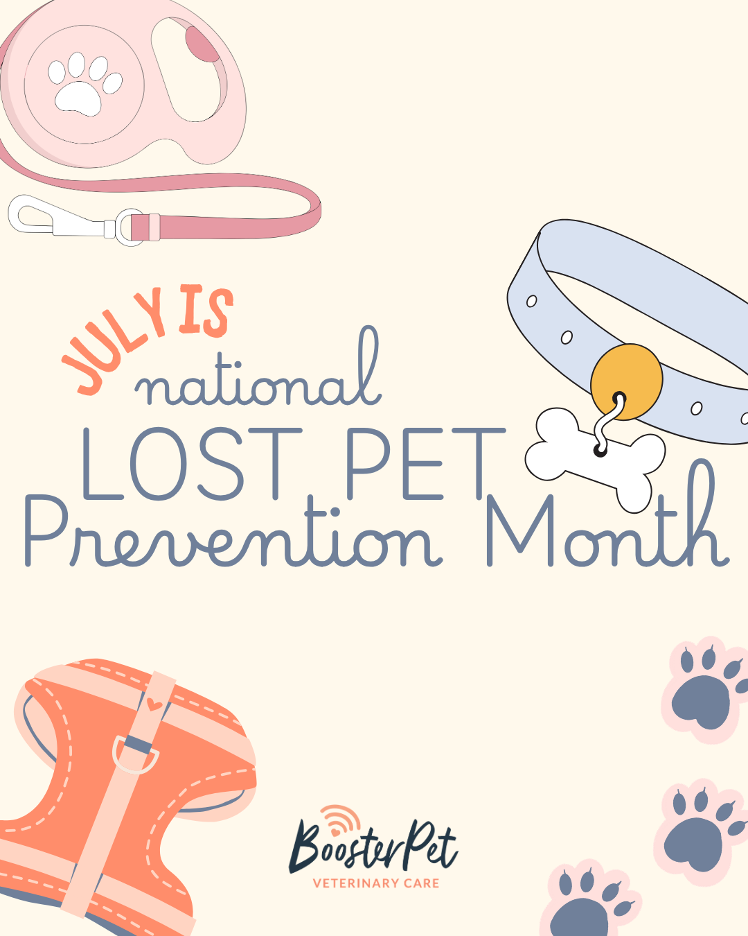 July is National Lost Pet Prevention Month