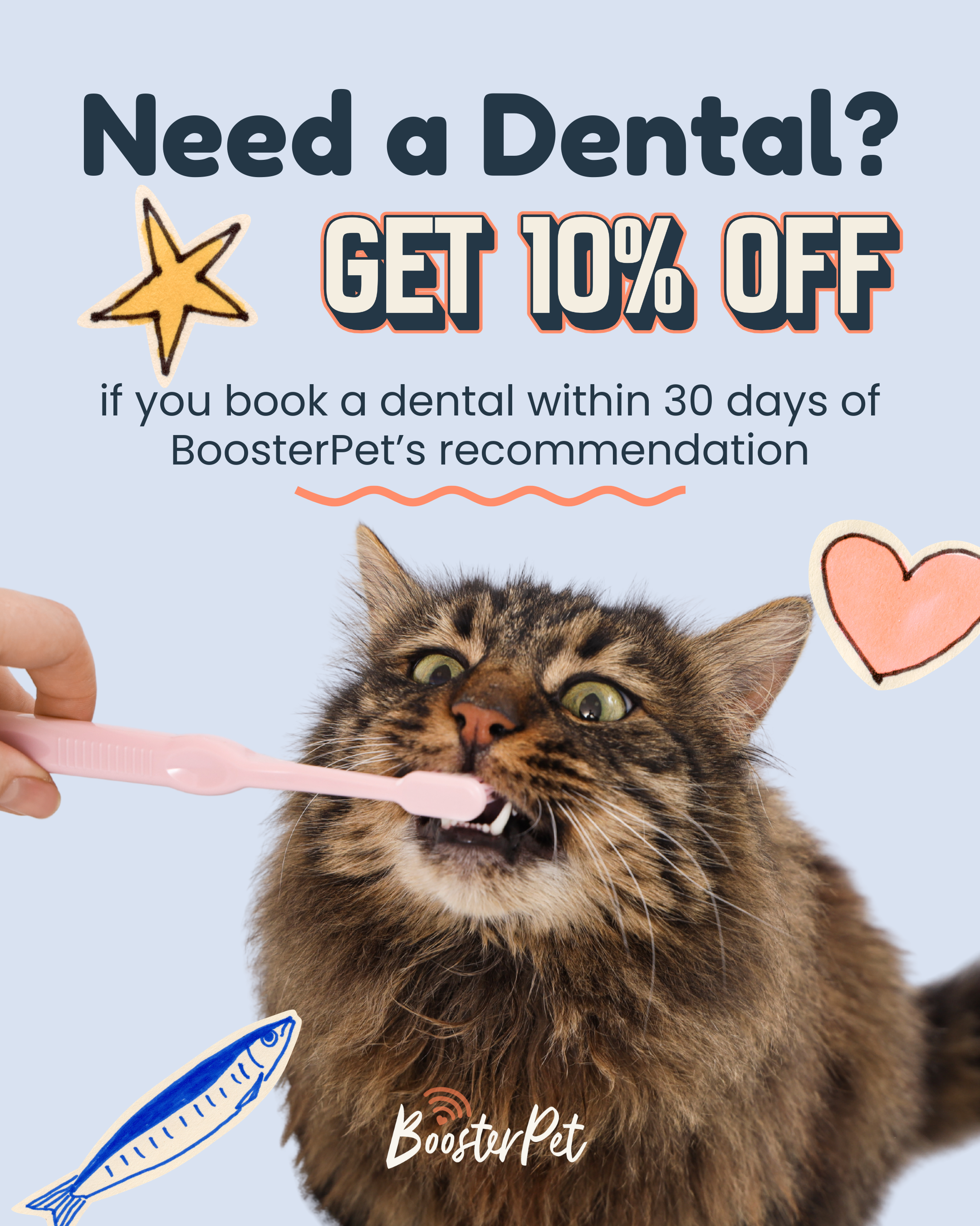Does your pet need a dental? if you book a dental within 30 days of BoosterPet's recommendation