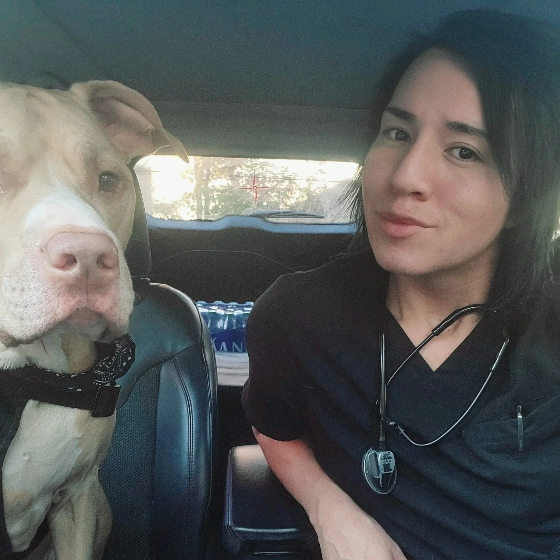 Trent, a licensed veterinary technician at BoosterPet Federal Way