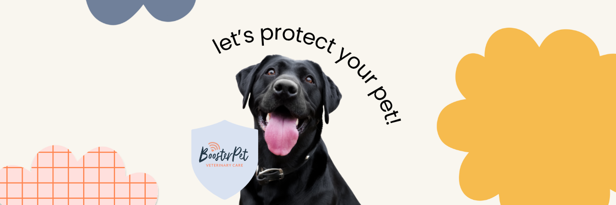let's protect your pet! image with a dog and a boosterpet logo in a shield