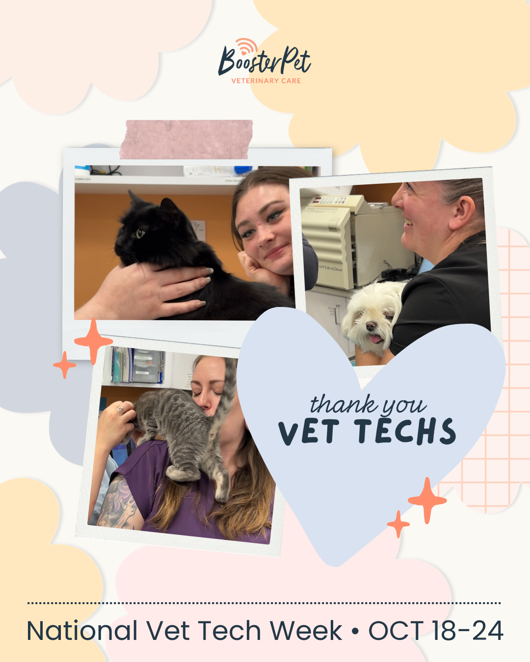 National Vet Tech Week - Thank you Vet Techs