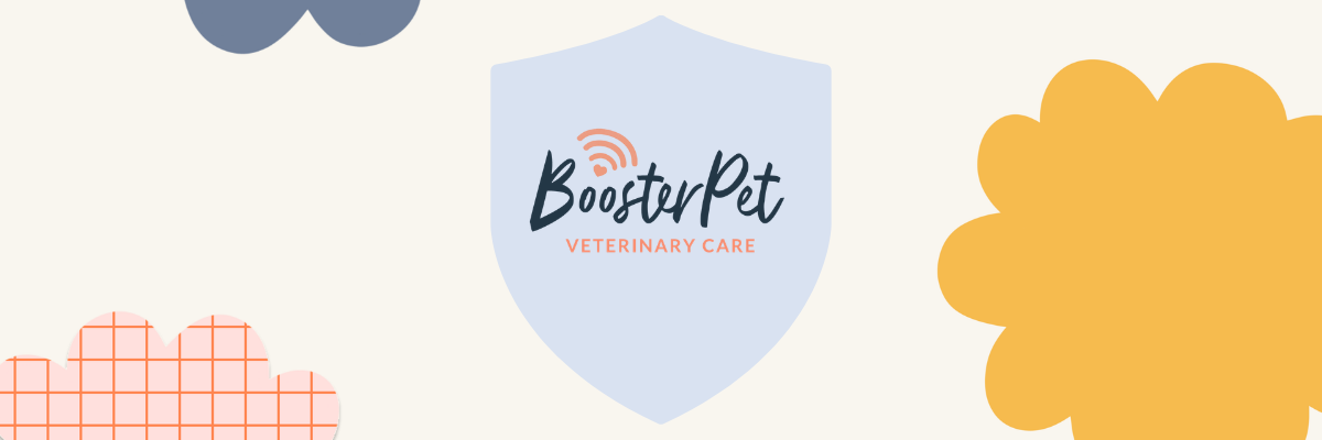let's protect your pet! image with boosterpet logo in a shield