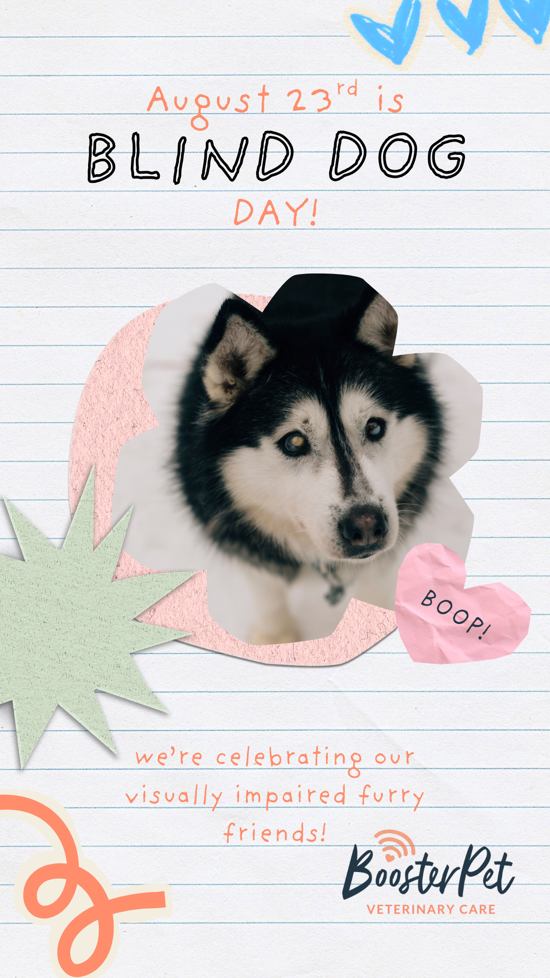international blind dog day