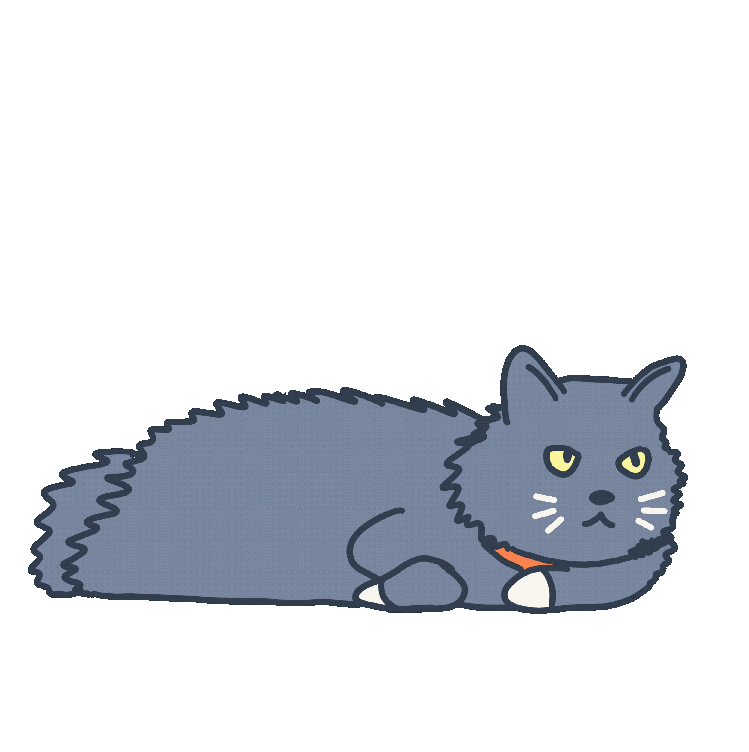 Vet Clinics, Wellness & Urgent Care | Veterinary Care | BoosterPet