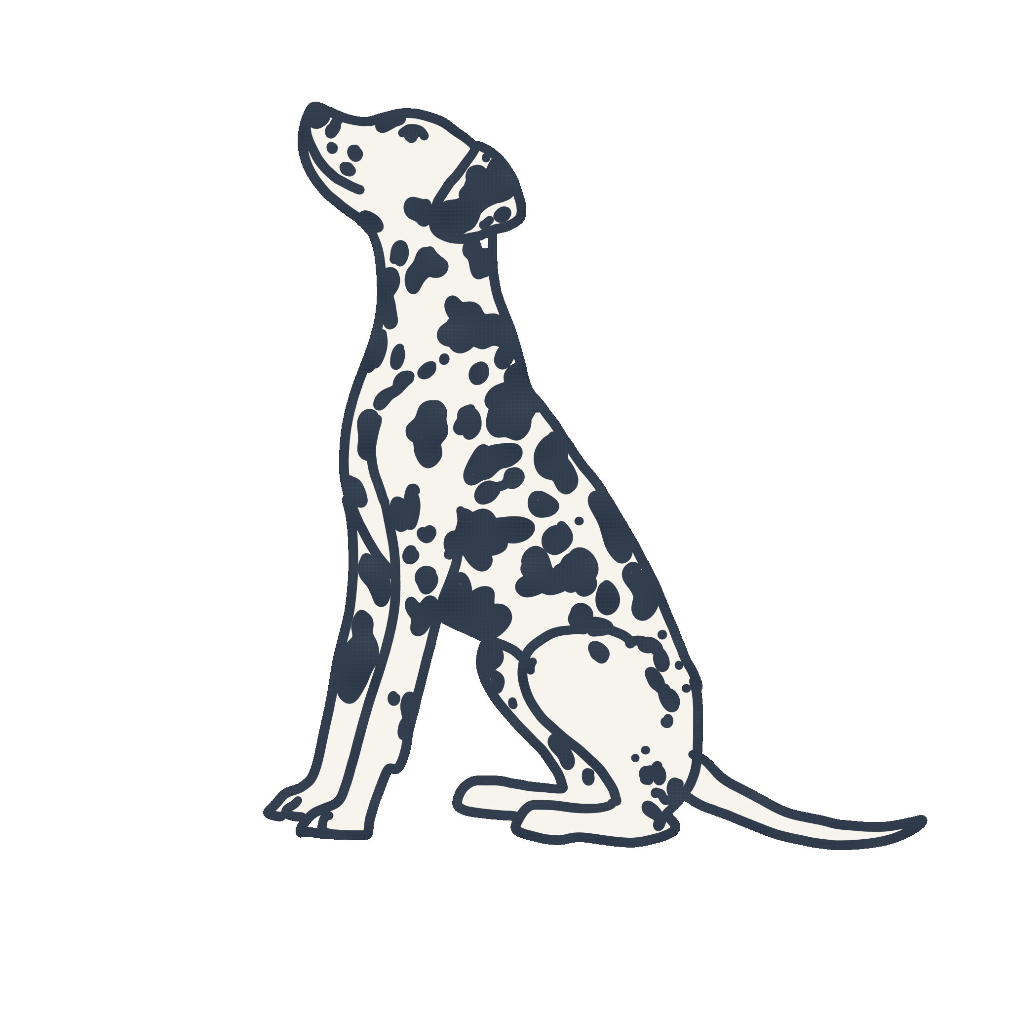 Illustration of a Dalmatian dog wagging its tail.