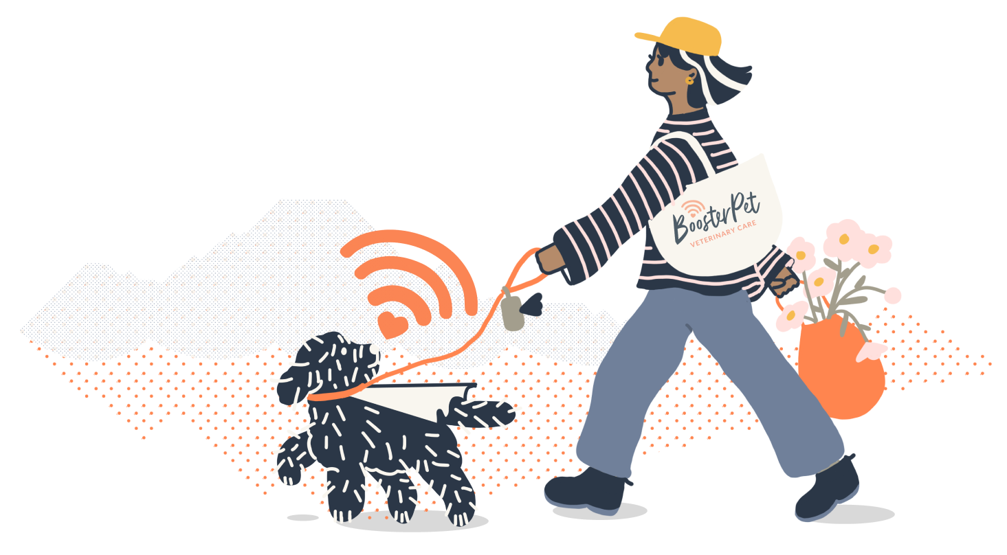 a womann wearing a boosterpet tote bag walking her dog in seattle