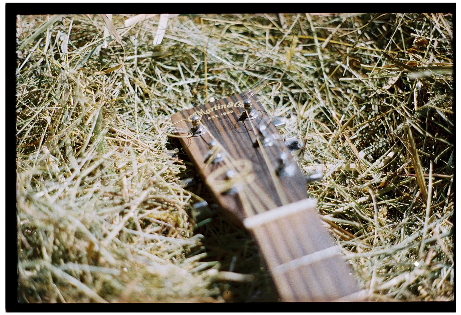 Someone started a rumor that Tom Rush showed Coleman how to get his strings to curl like that. 