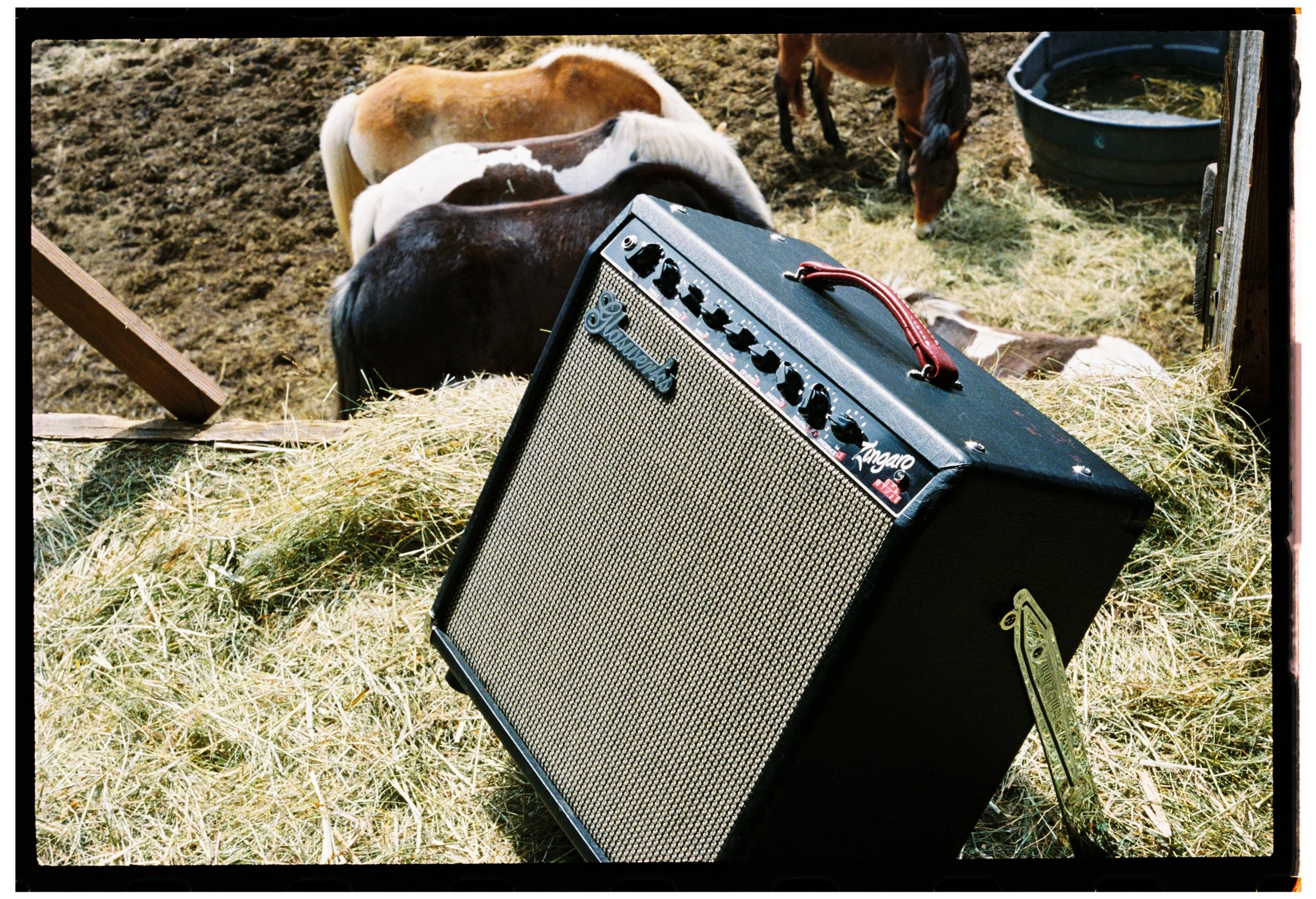 Blake's Glaswerks Zingaro 50 Watt: a Dumble clone that sounds so unreal it made Blake sound good at guitar. 