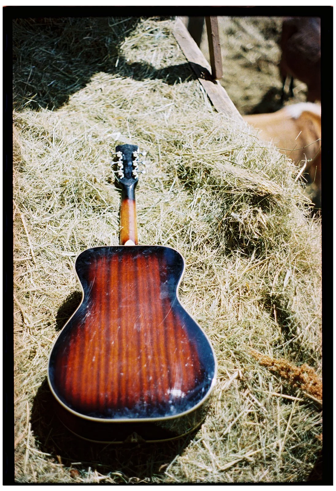 Coleman made the functioning pickup in this guitar with a microphone from a watch. 