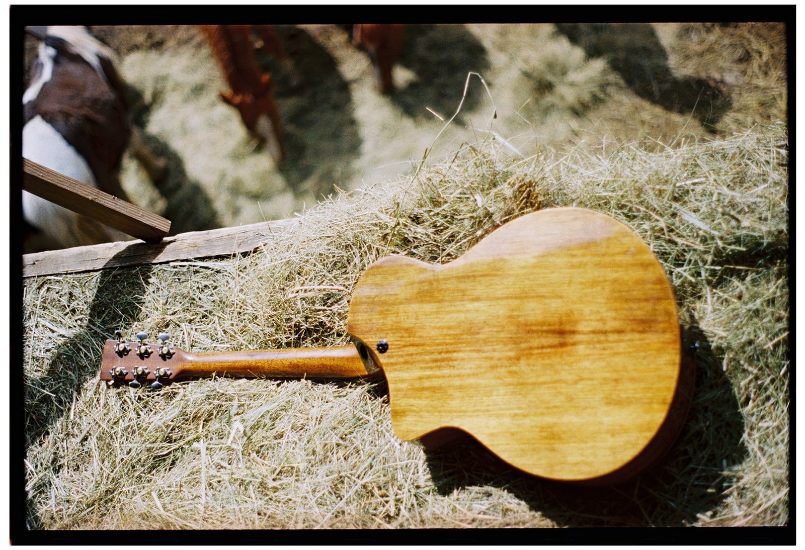 Mellow sound. Super awesome neck. 