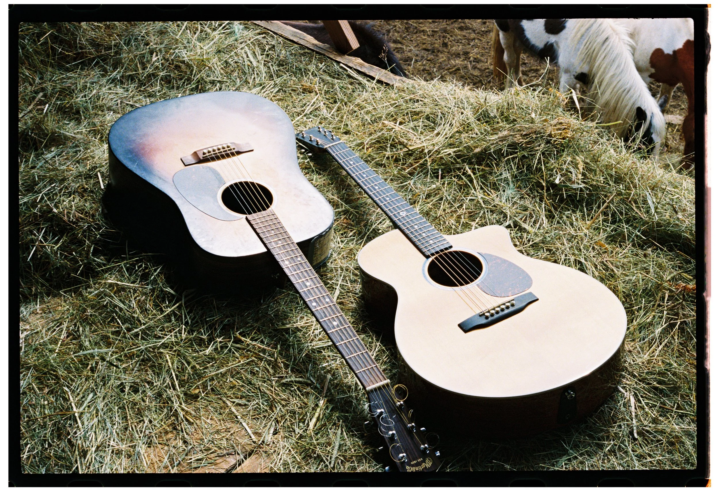 DUO ACOUSTICS.jpg
