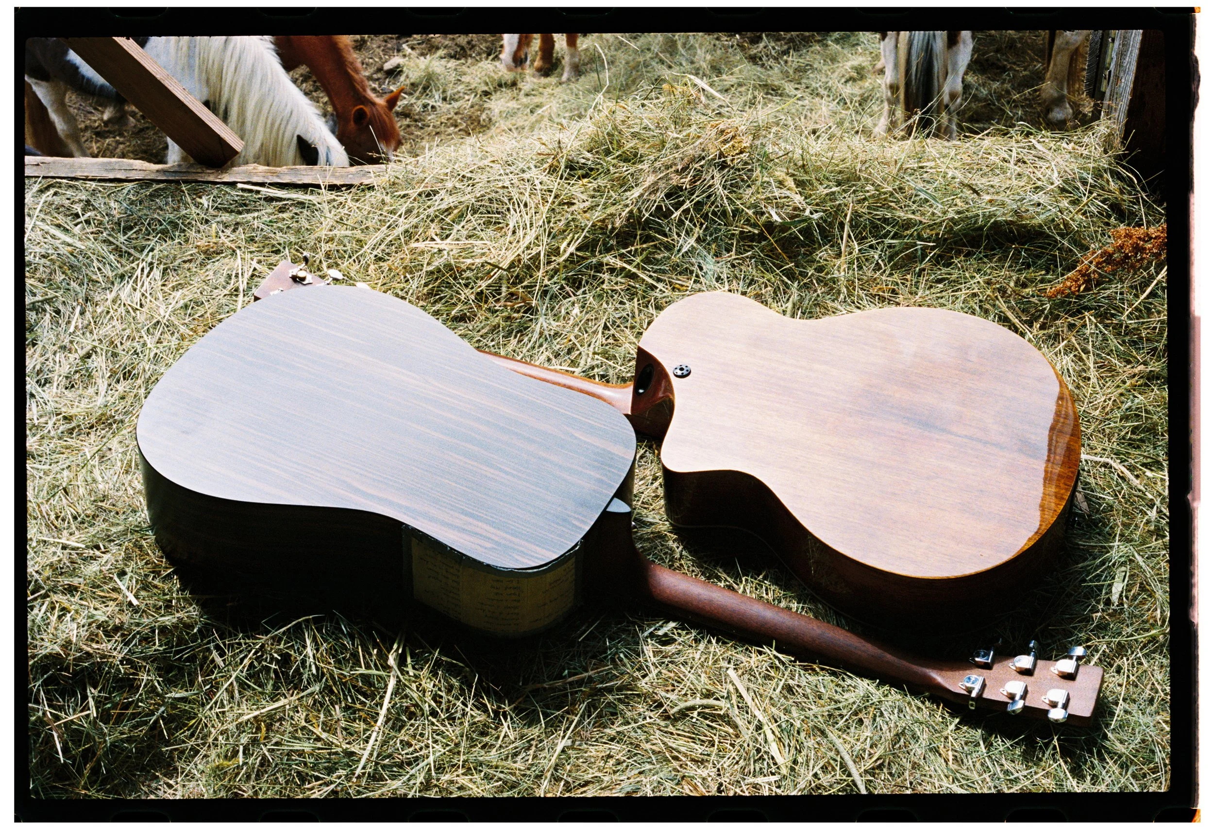 DUO ACOUSTICS 4.jpg